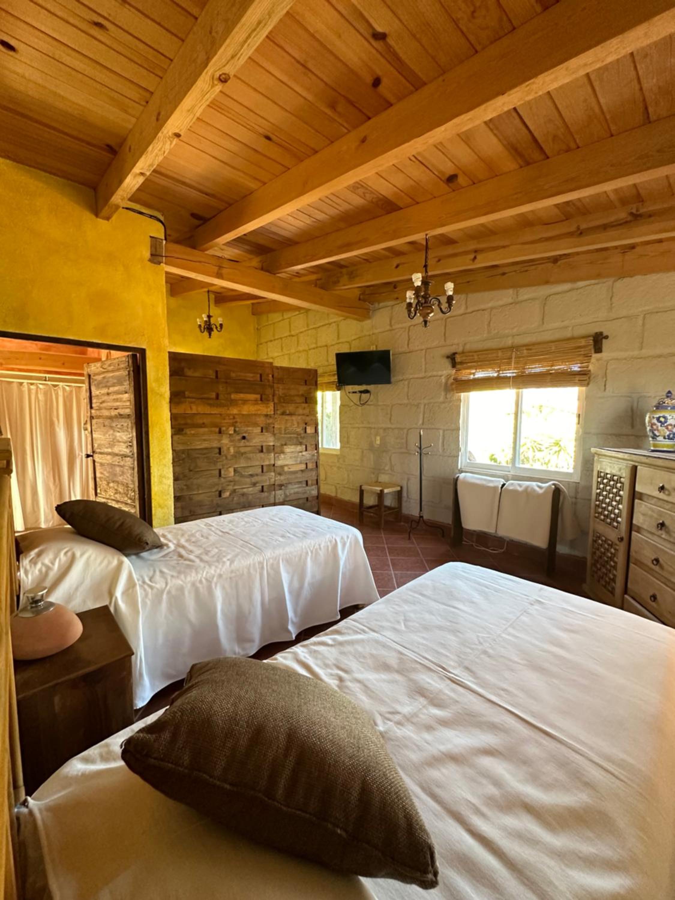Photo 25