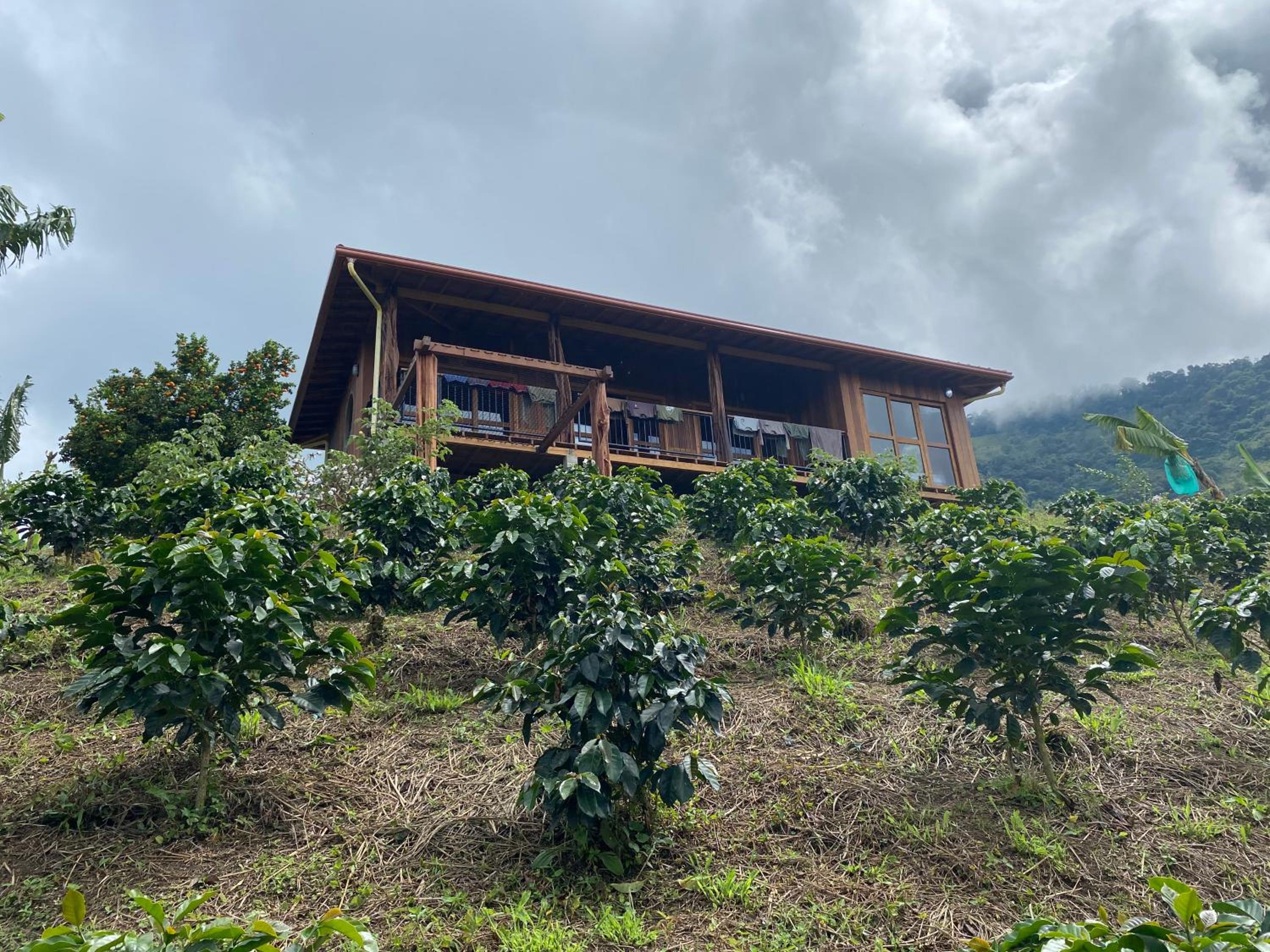 Finca La Arabia Jardín