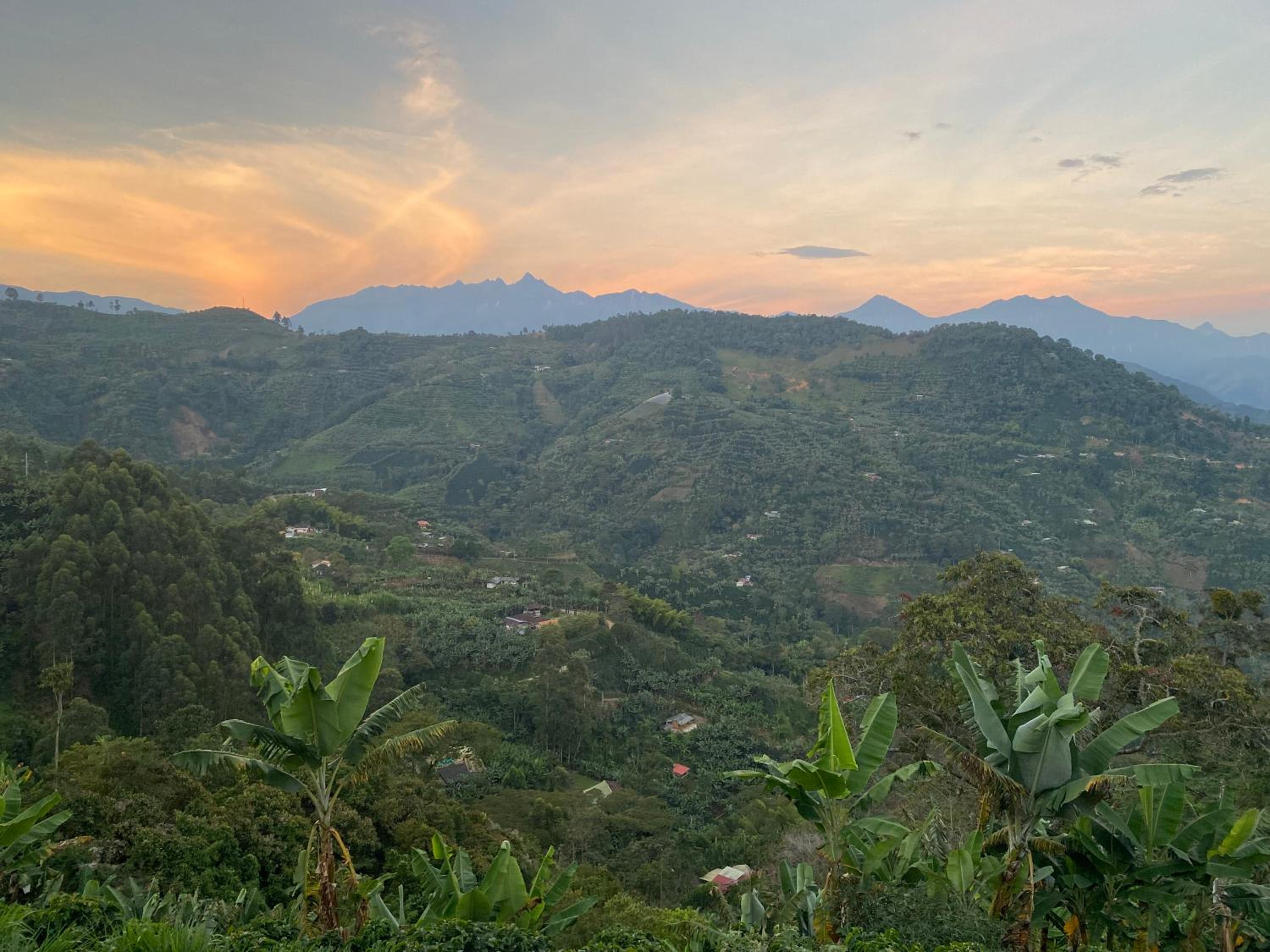 Finca La Arabia Jardín