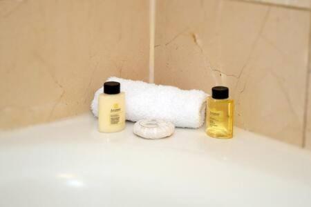 The Palms, Ocean View Studio Located at Ritz Carlton - Key Biscayne
