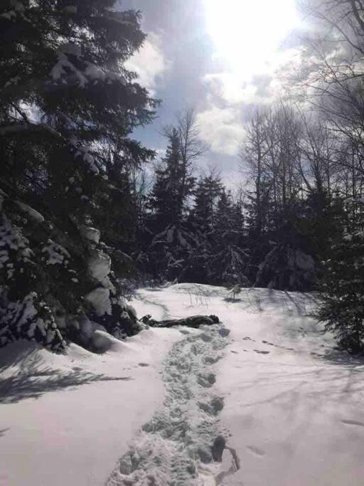 Centrally Located - Historic Blaney Park- Michigan view 2