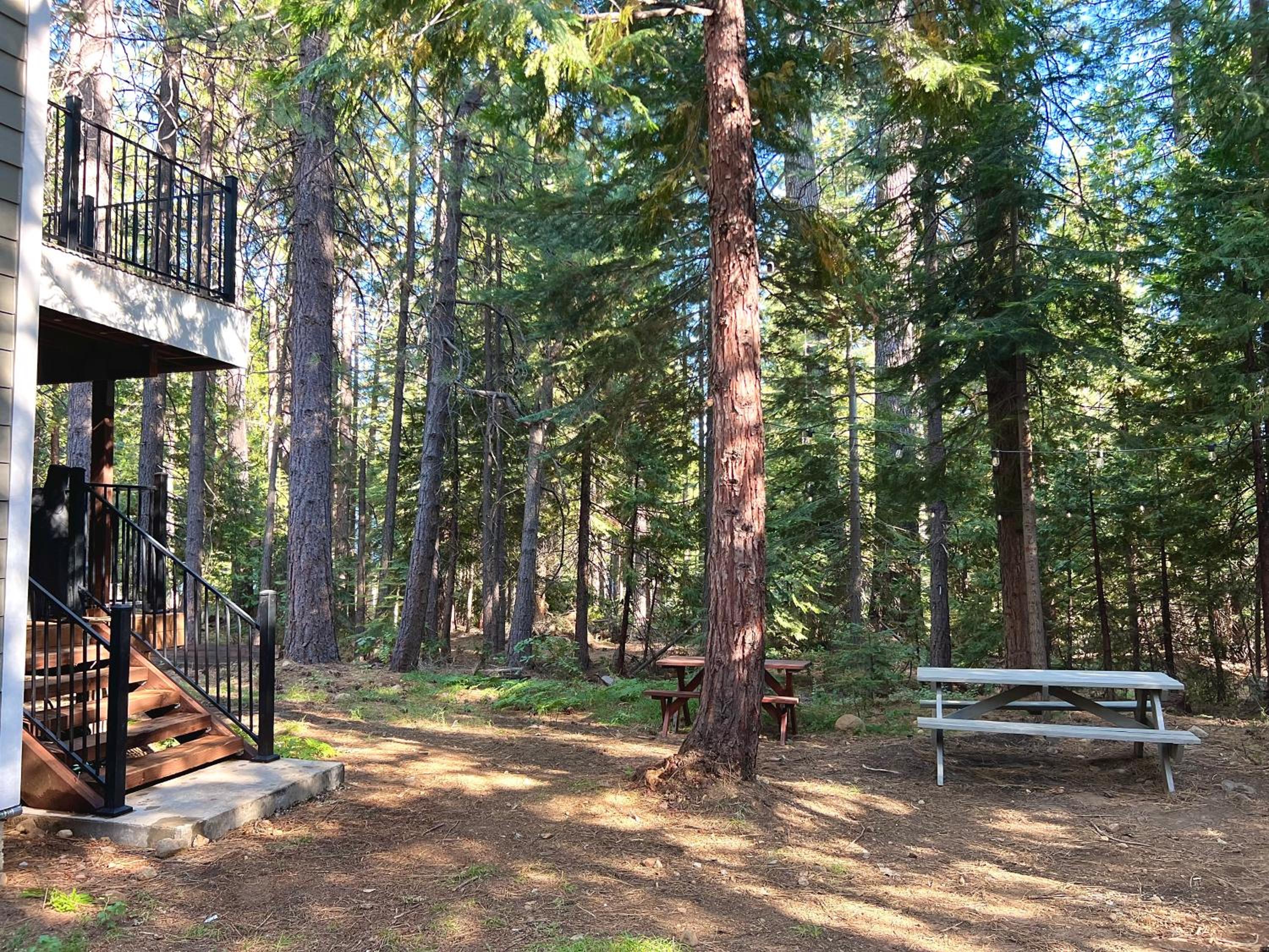 Cozy Cabin w/ Hot tub - Property Image 19