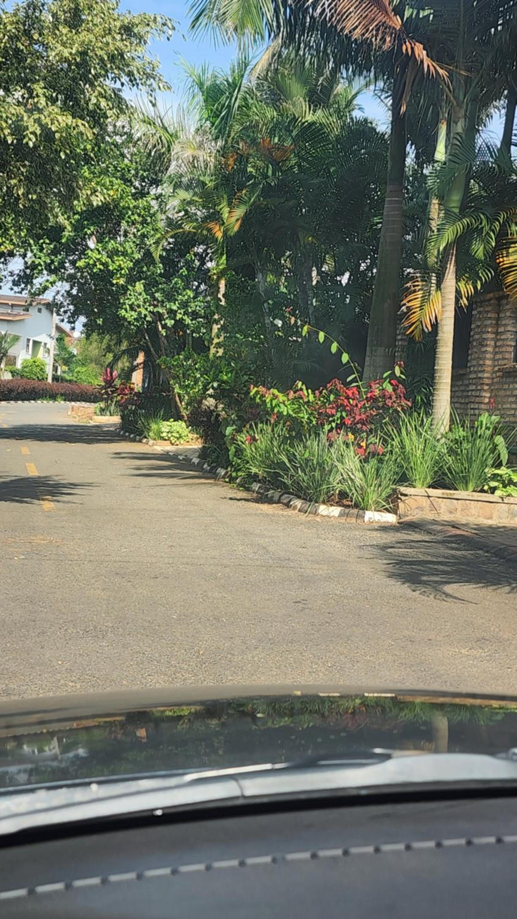 Cheap rooms in prime neighborhood