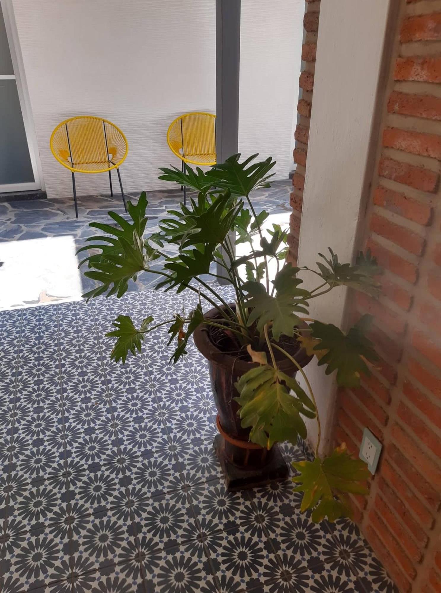 Estudio #5 Casa Fatima, 8 min del centro 1 persona