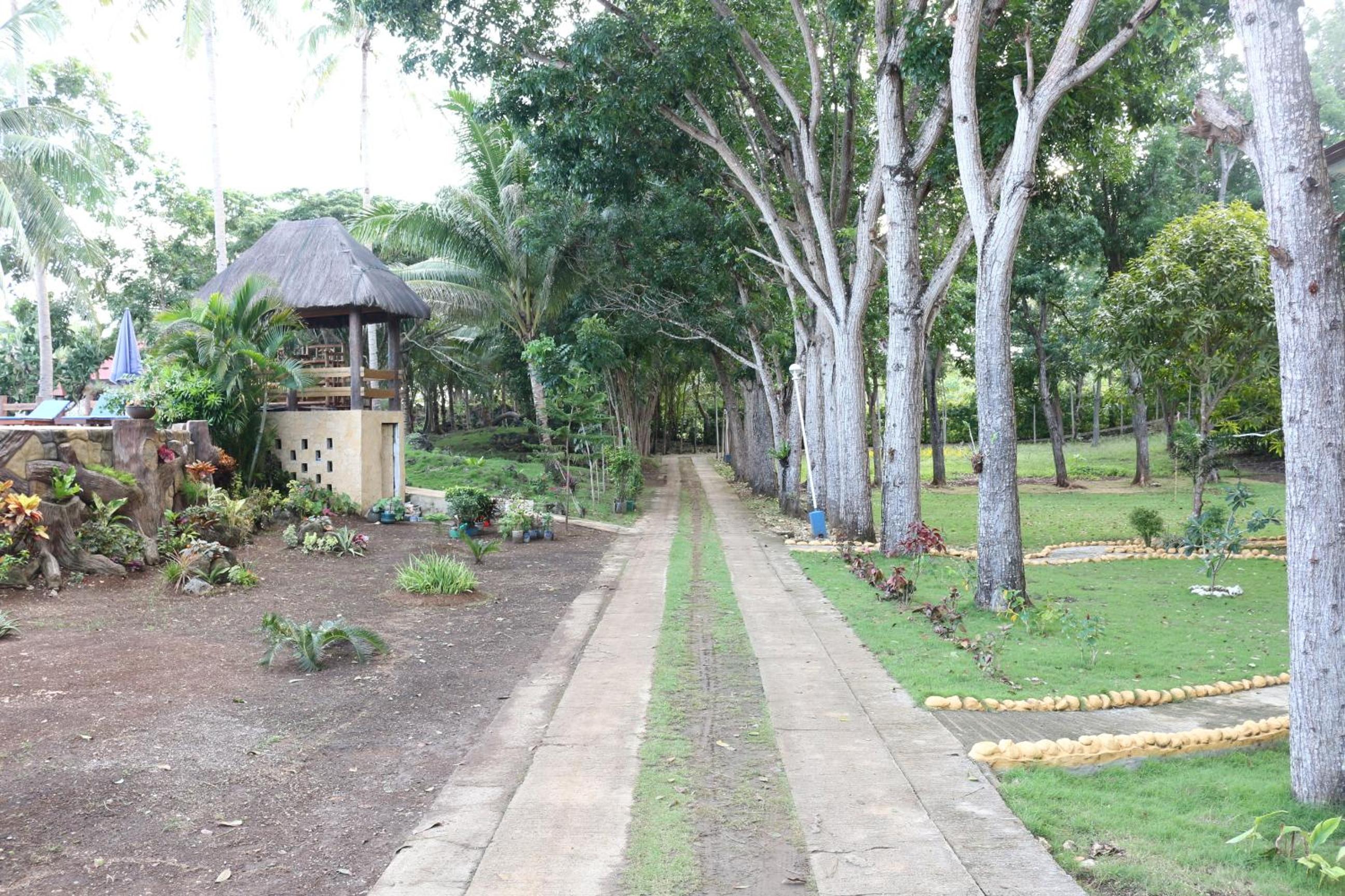Blue Star Dive and Resort