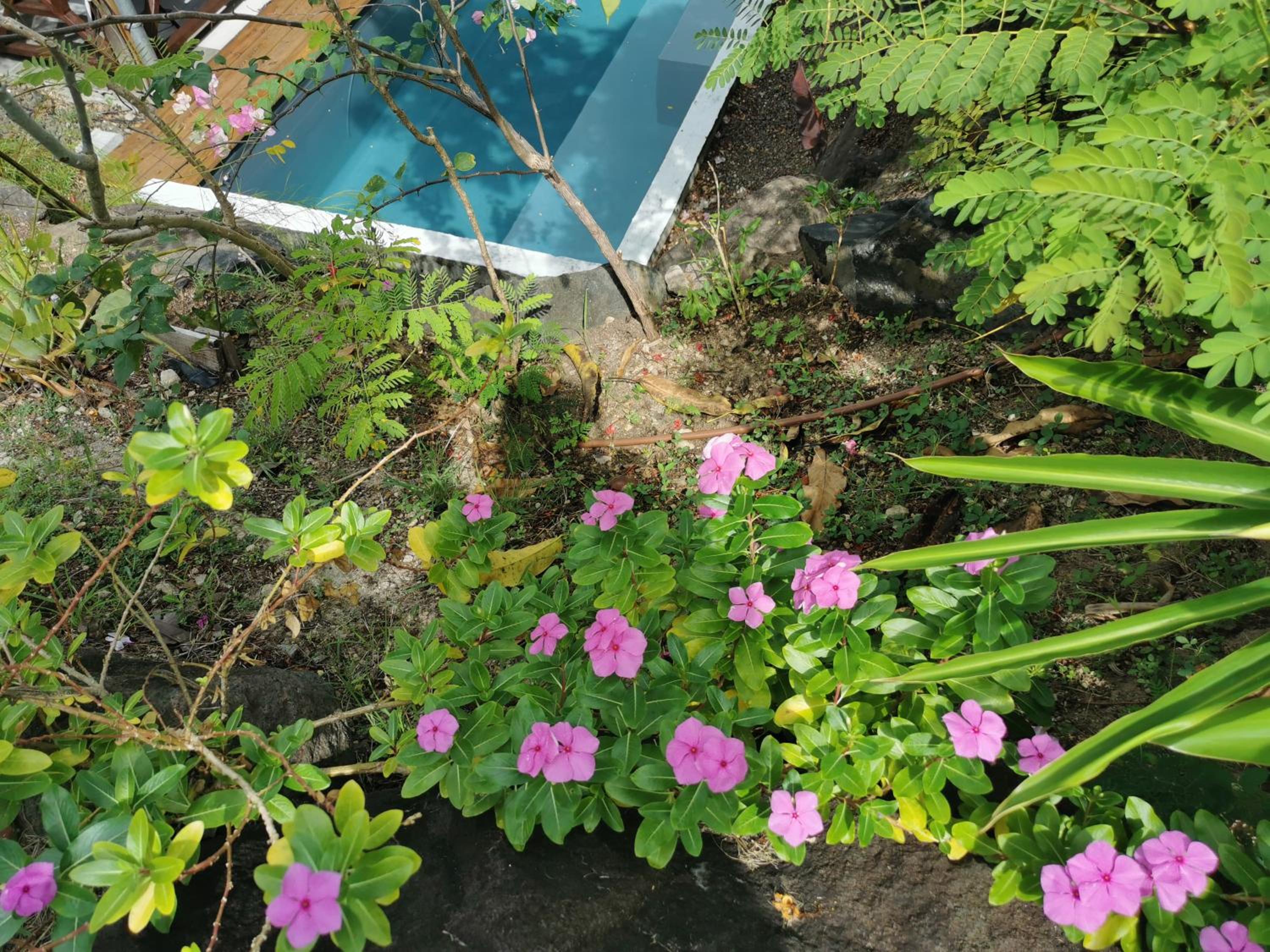 Photo 22
