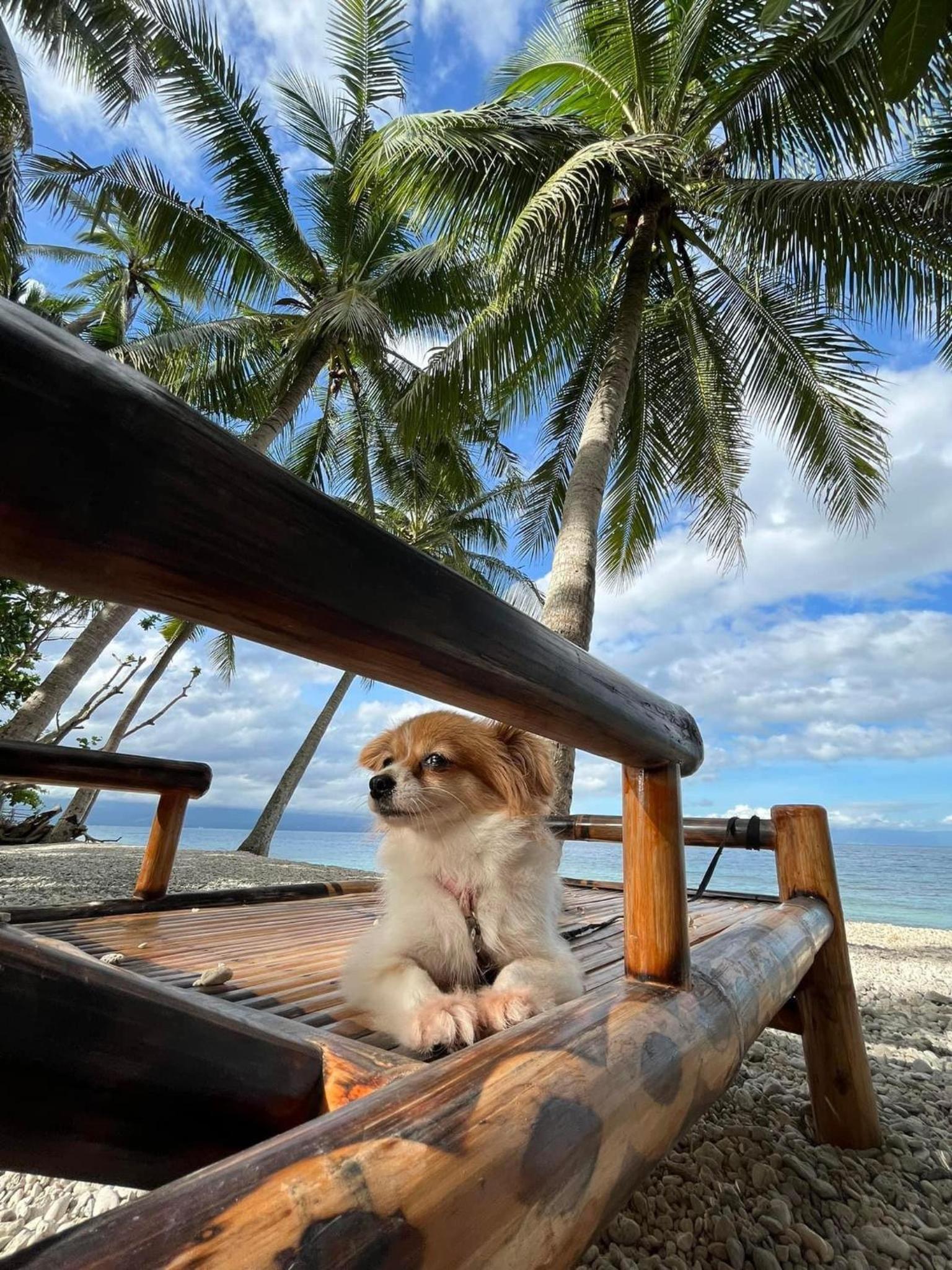 Casey’s Haven Beach Resort