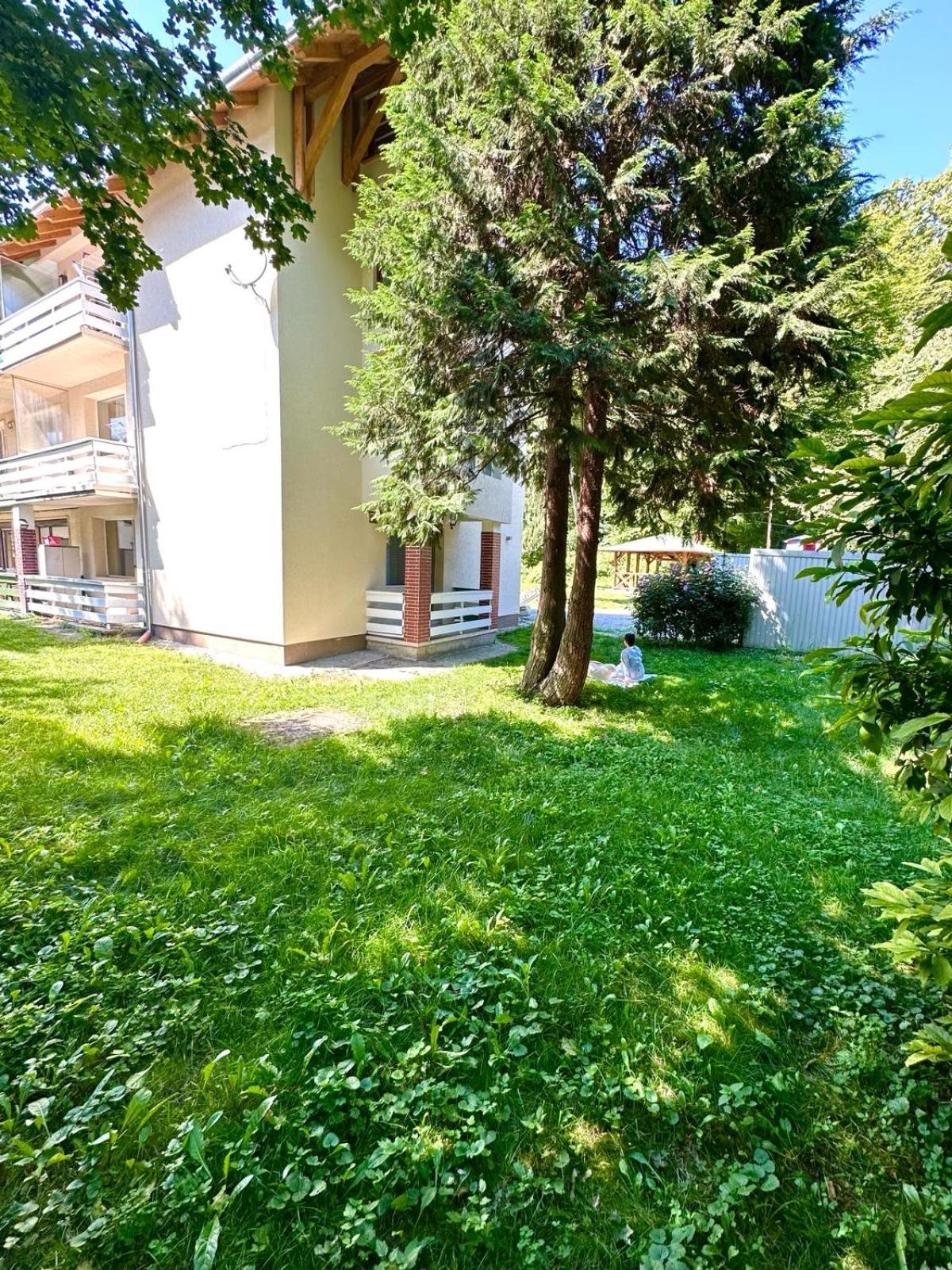 Sovata Apartment view 5