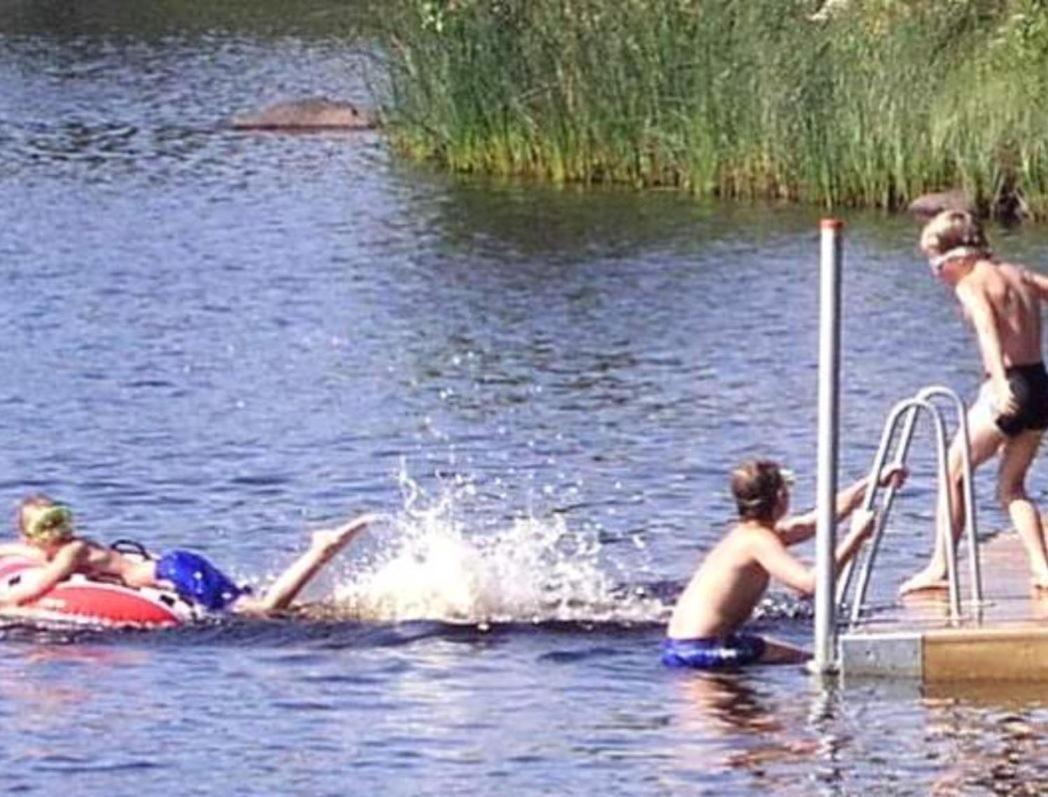 Photo 35