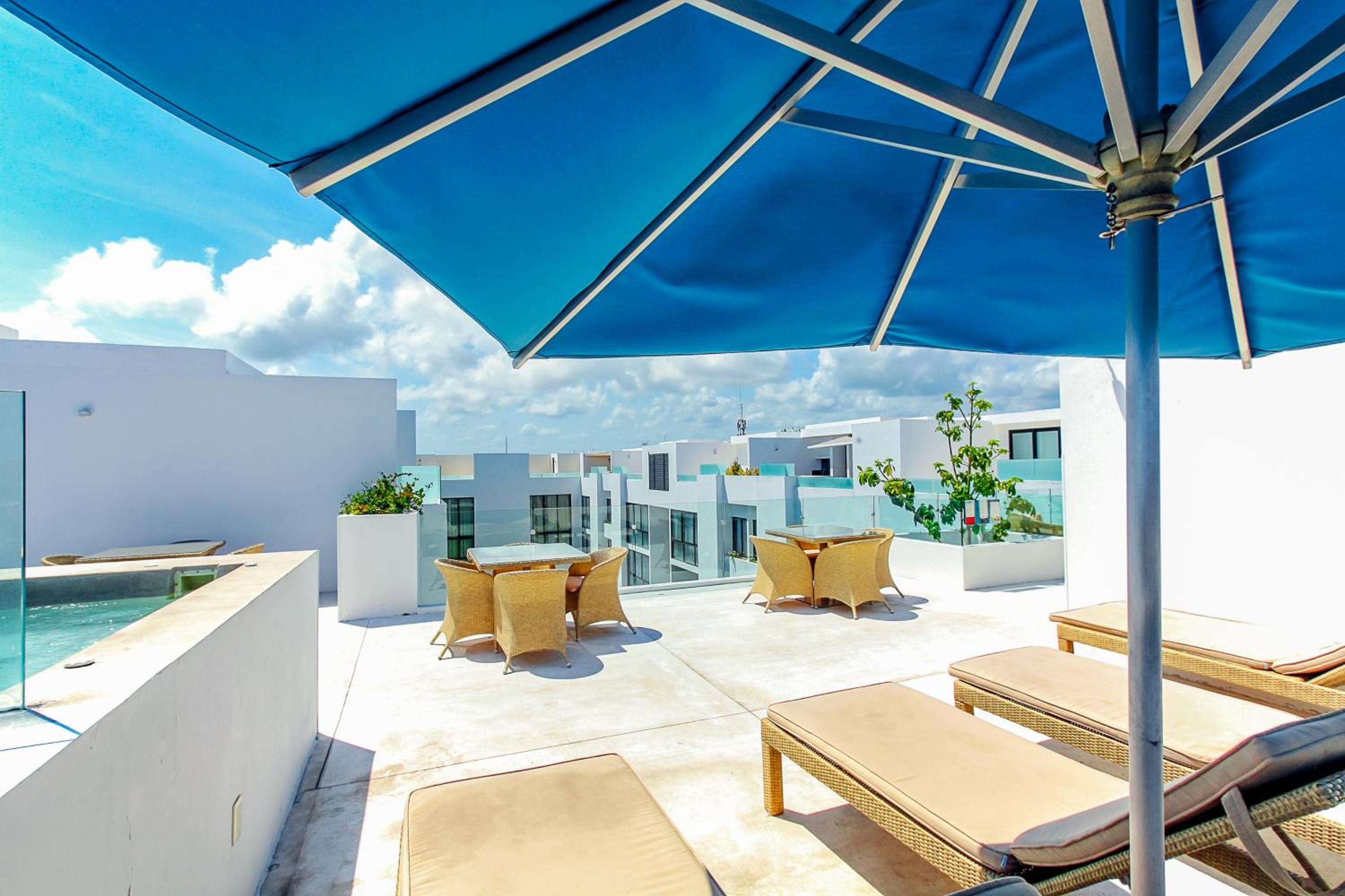 roof