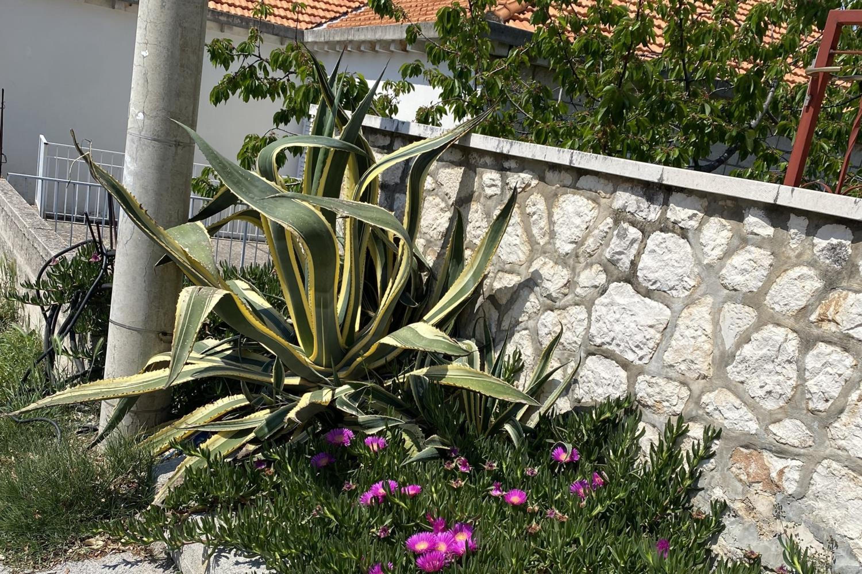 APARTMENT ROLEX -near the port Dubrovnik