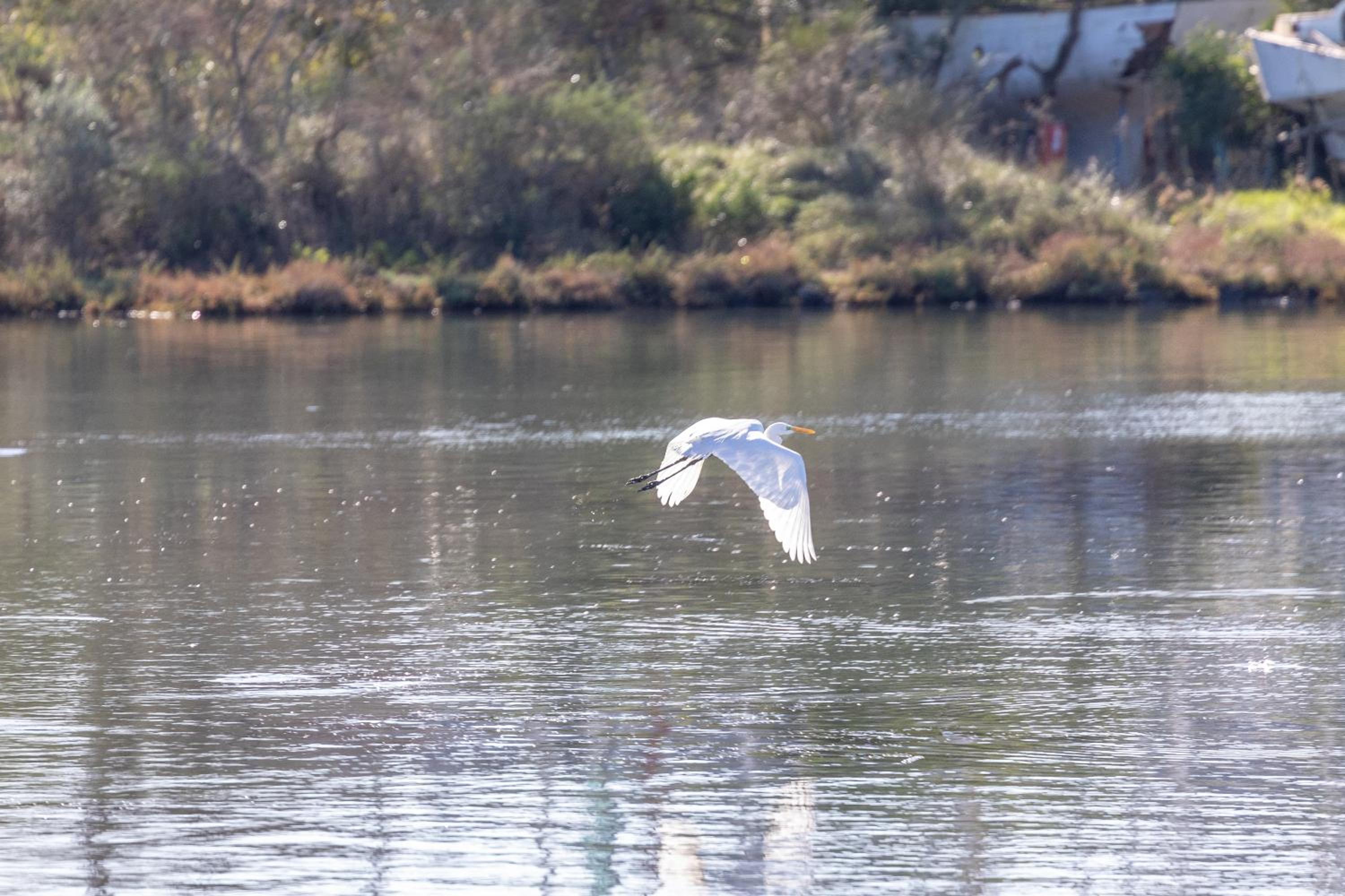 Gerekos Island Apartments photo 2