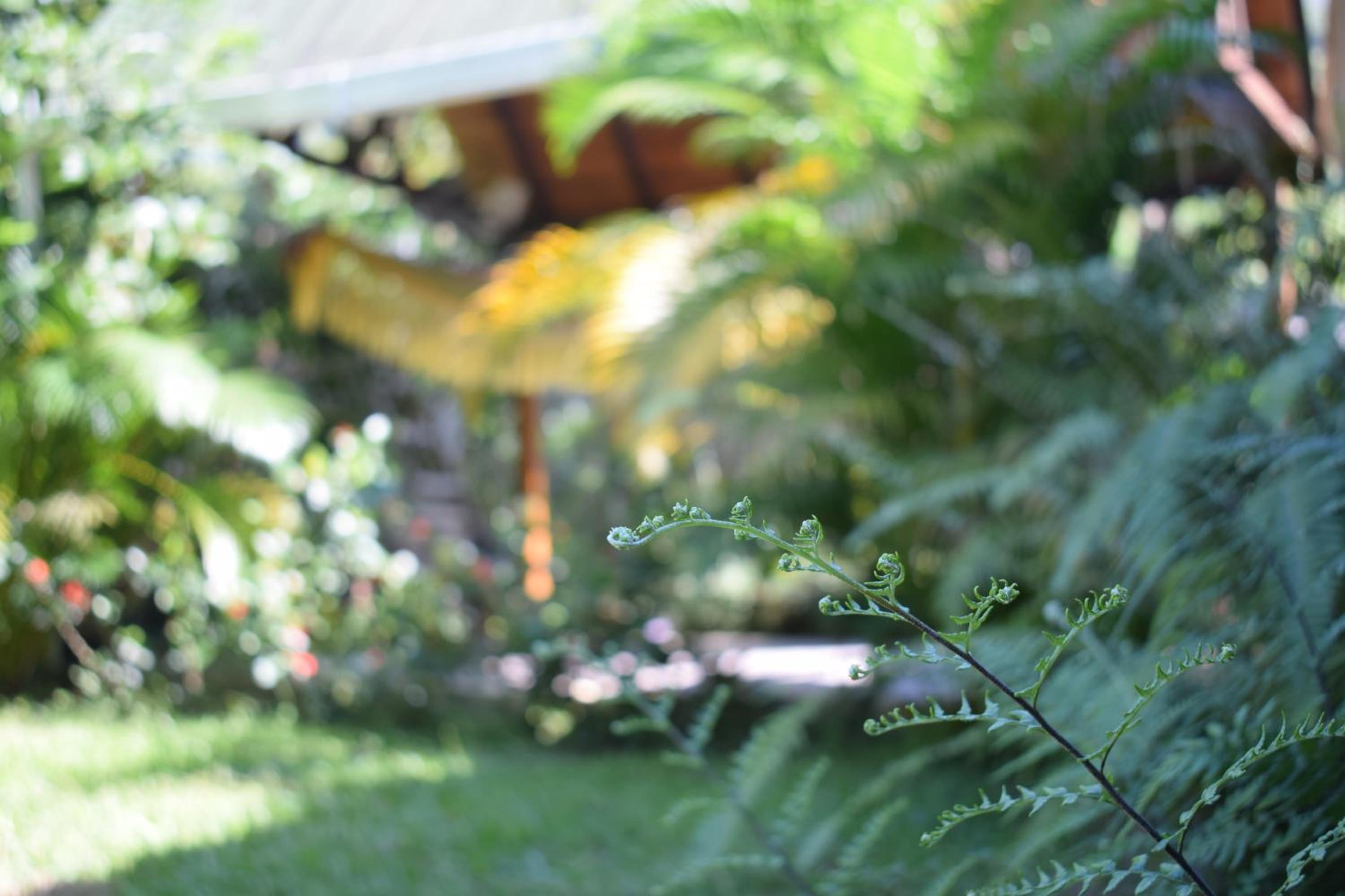 Lodging Casa Bunkua
