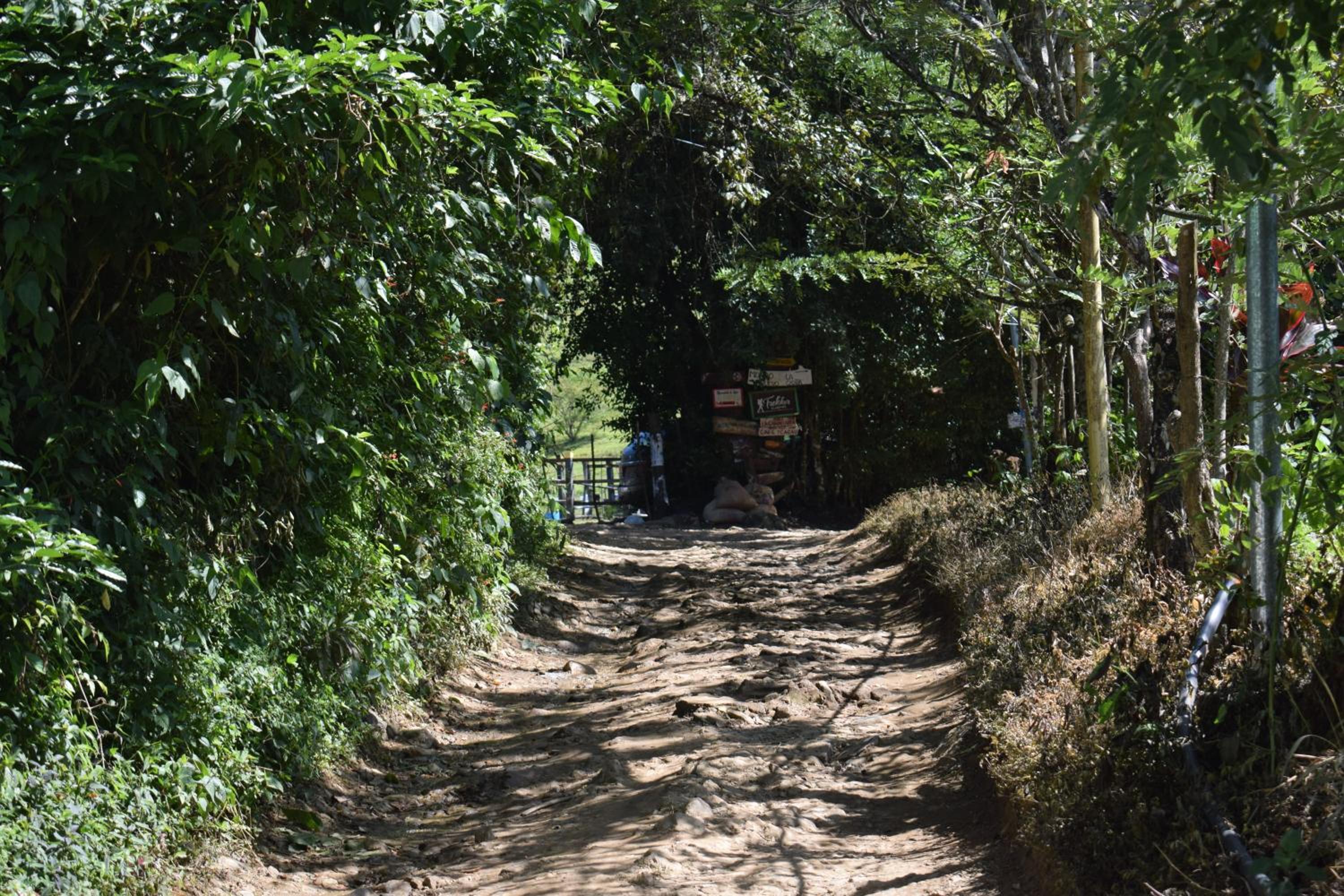 Lodging Casa Bunkua
