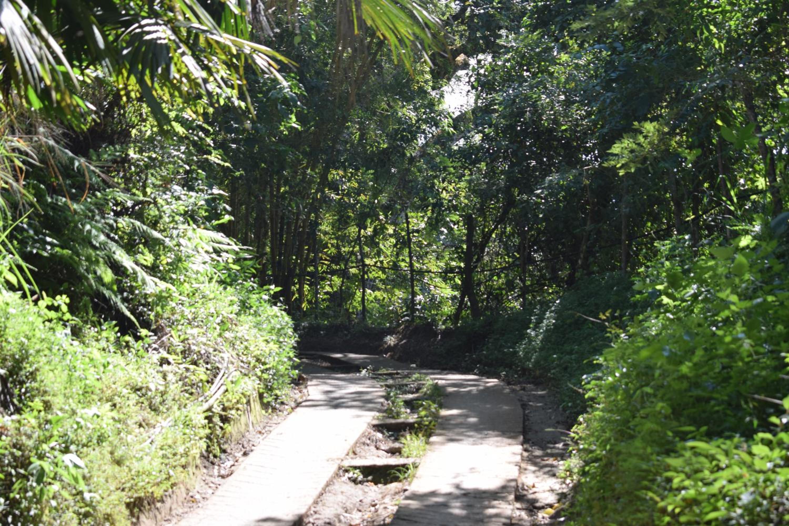 Lodging Casa Bunkua