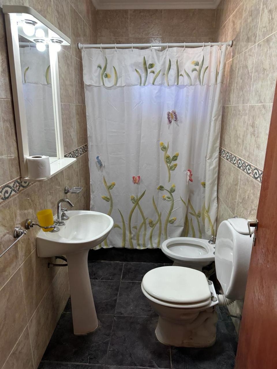 Loft Quincho Ramallo
