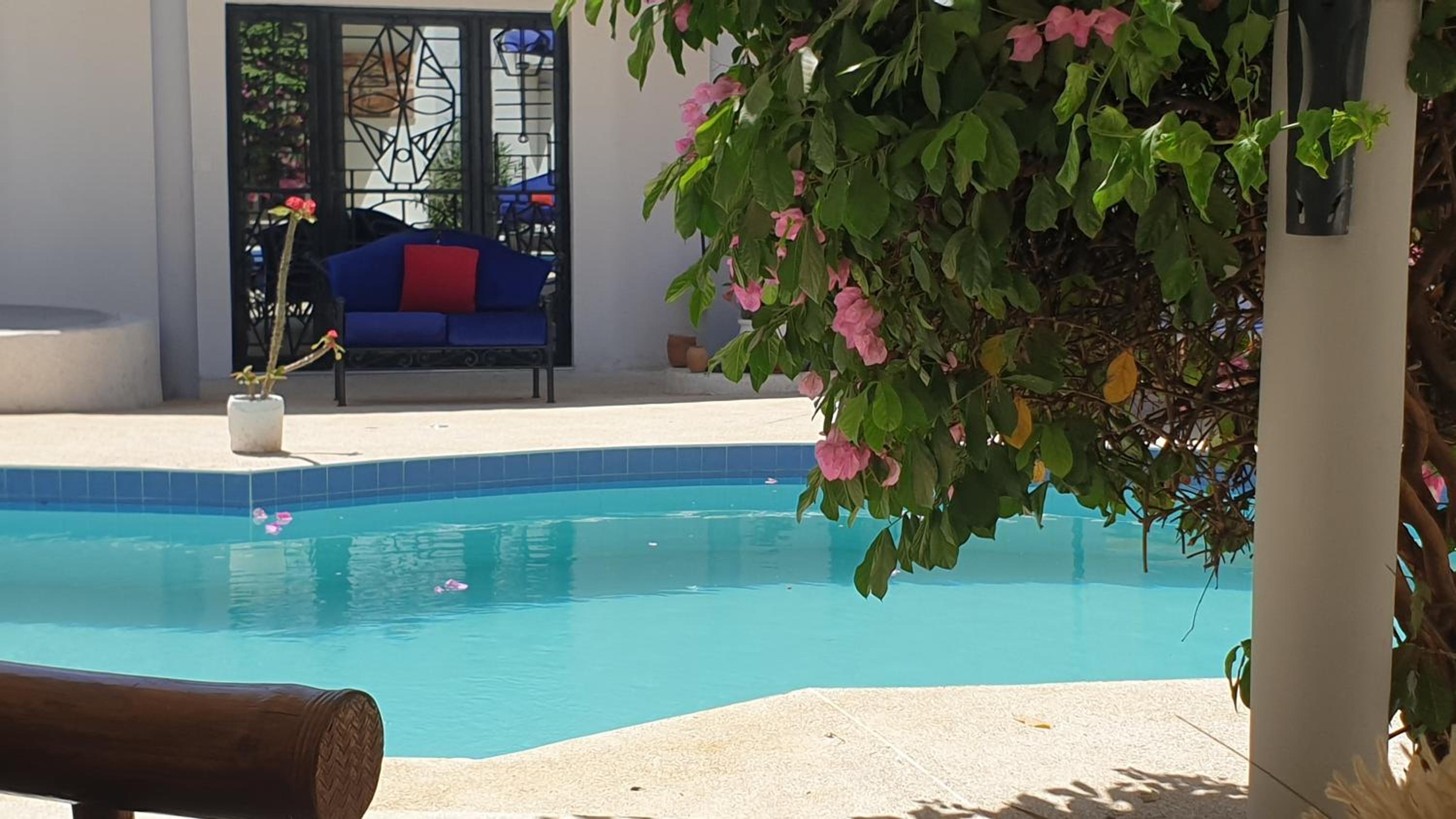 Amour Sénégal, photo 63