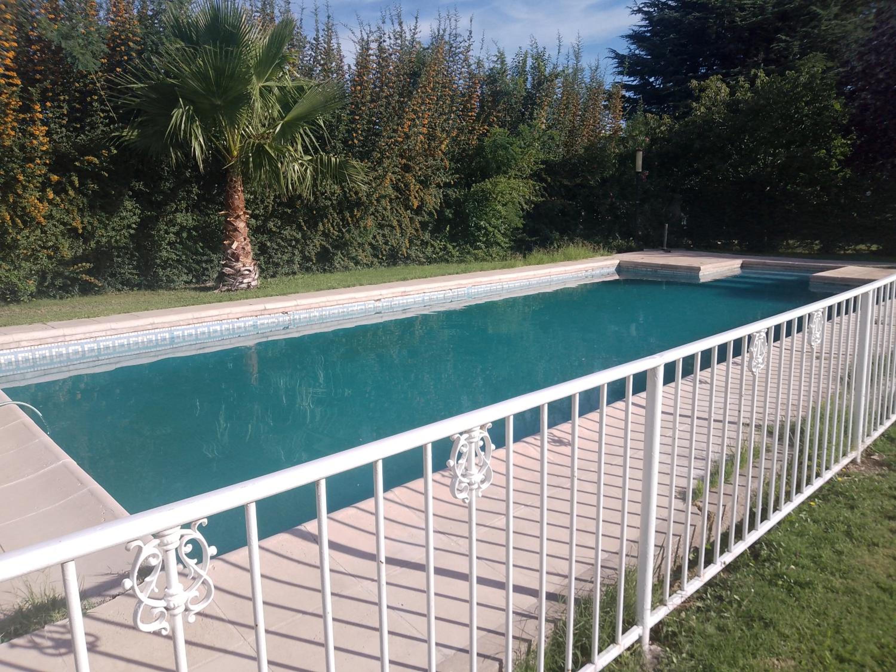 La dominguera