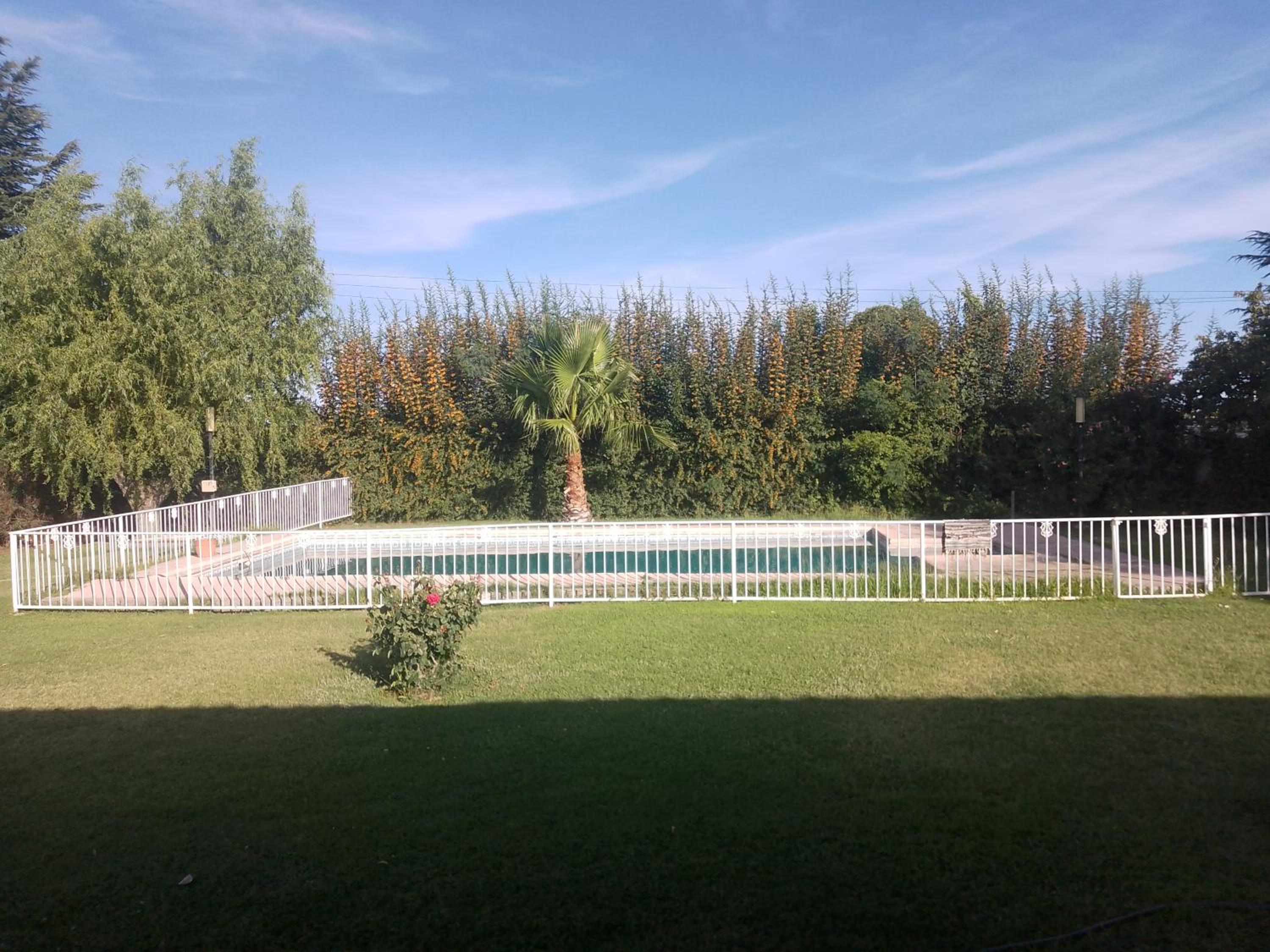 La dominguera