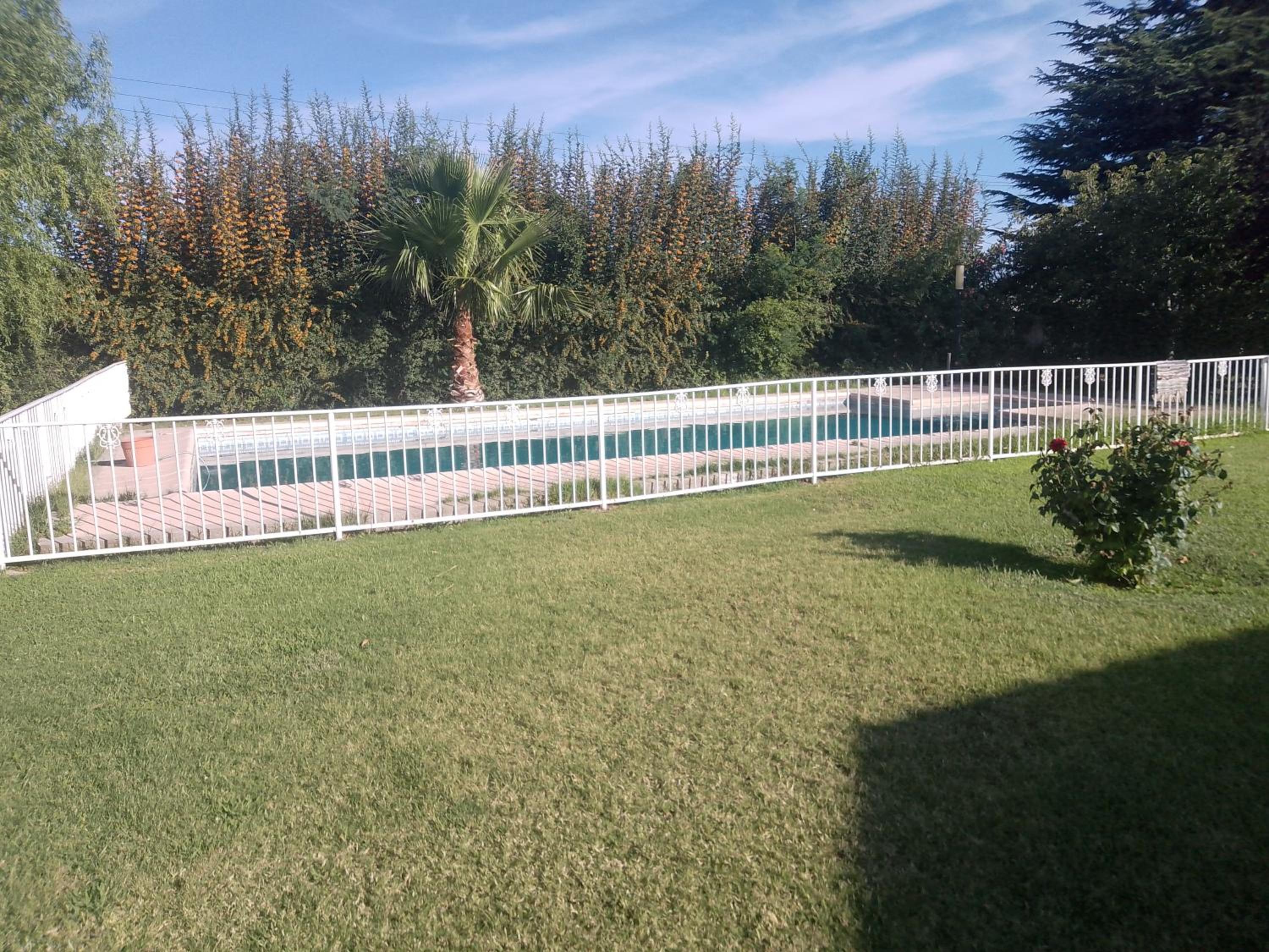 La dominguera