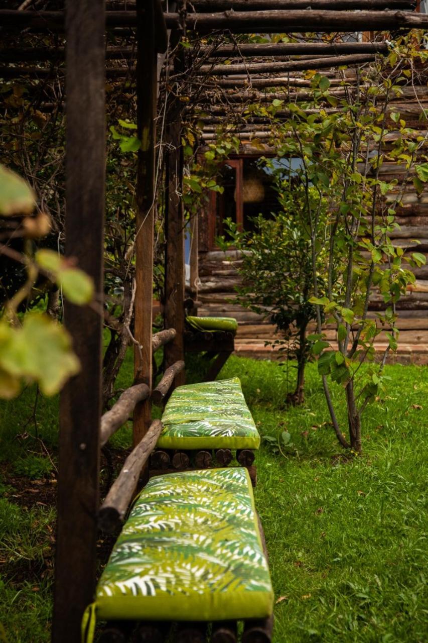 Chuensuca: naturaleza y bienestar