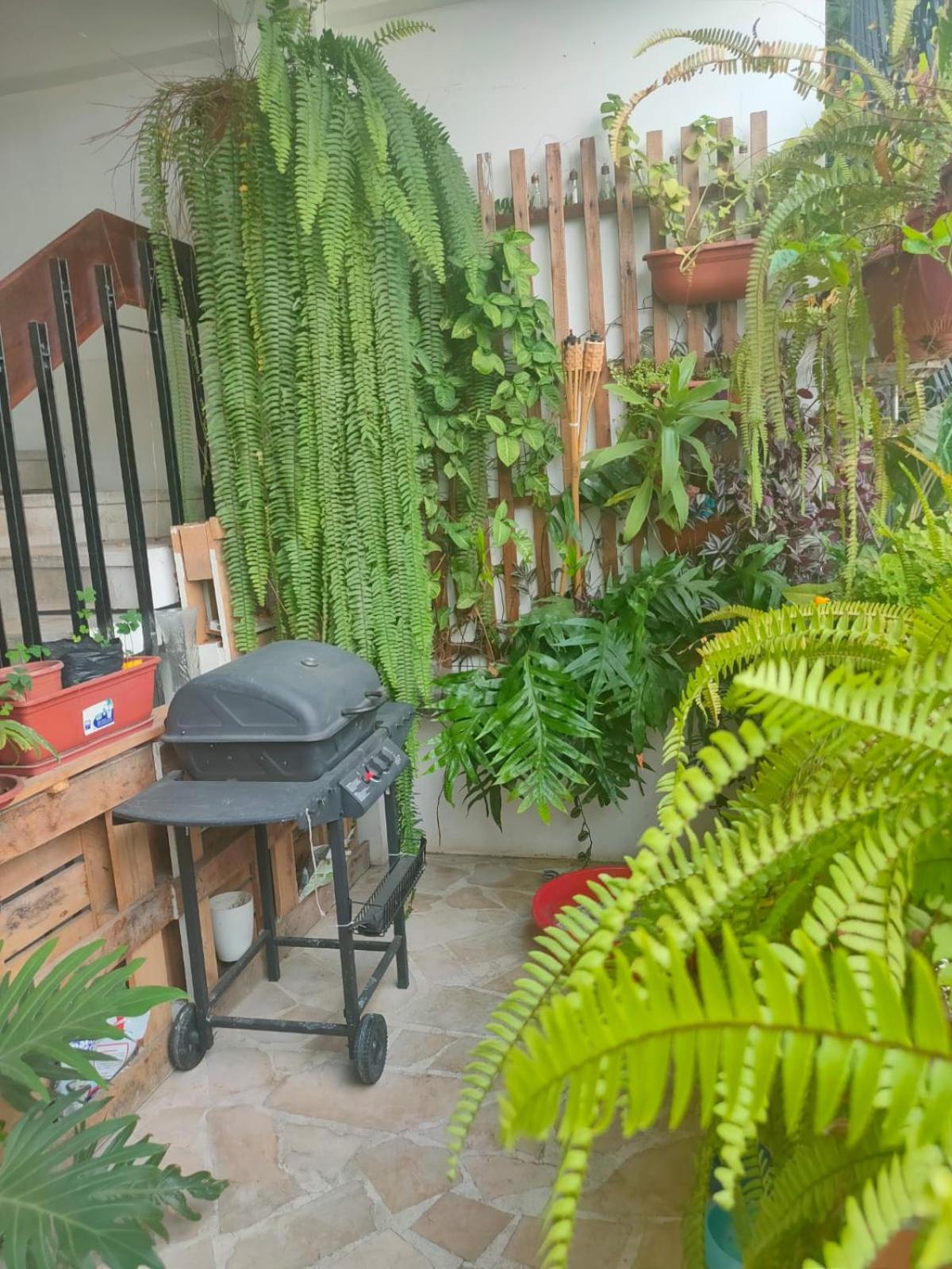 Bryslaungeguayaquil