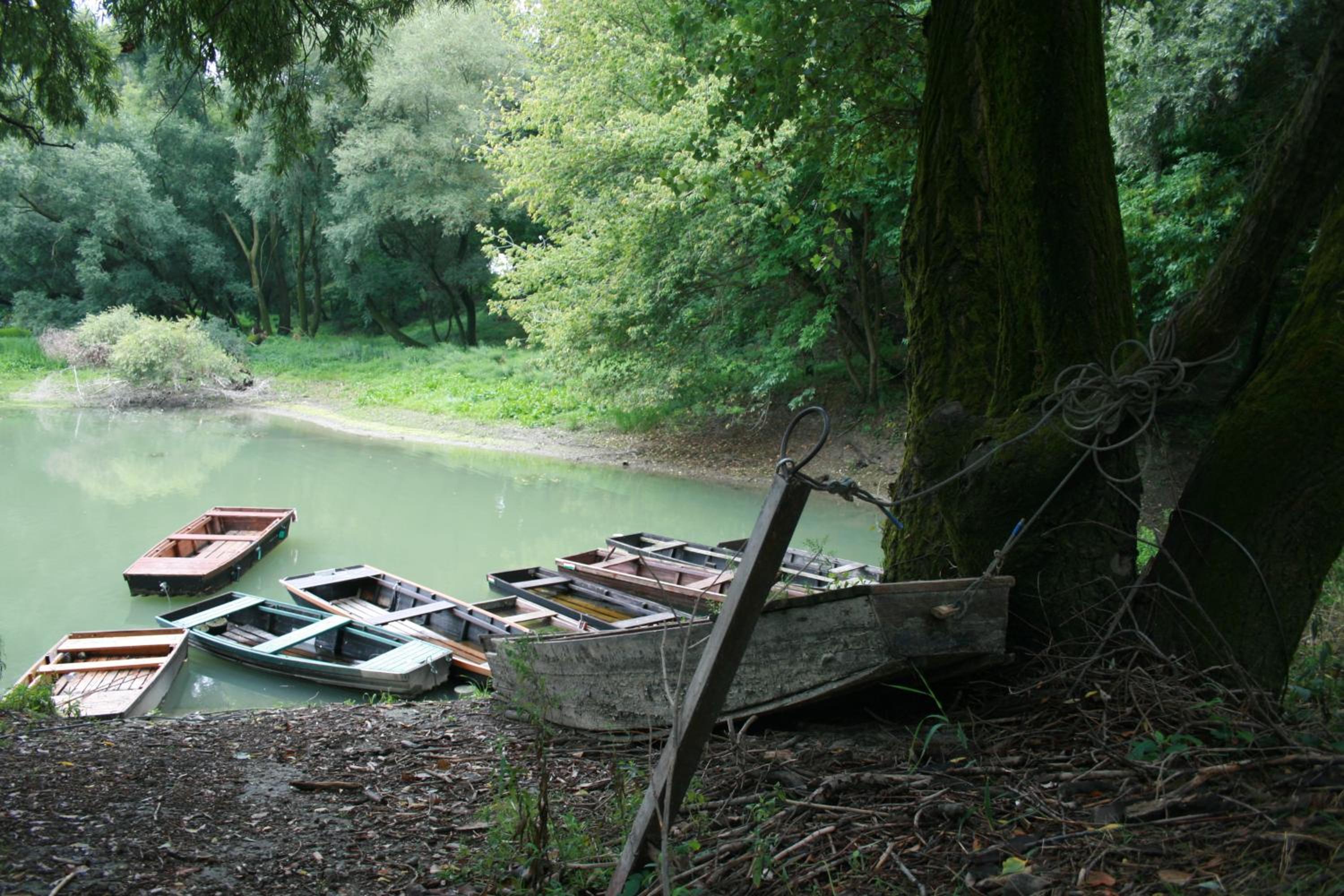 Fontana Vendégház
