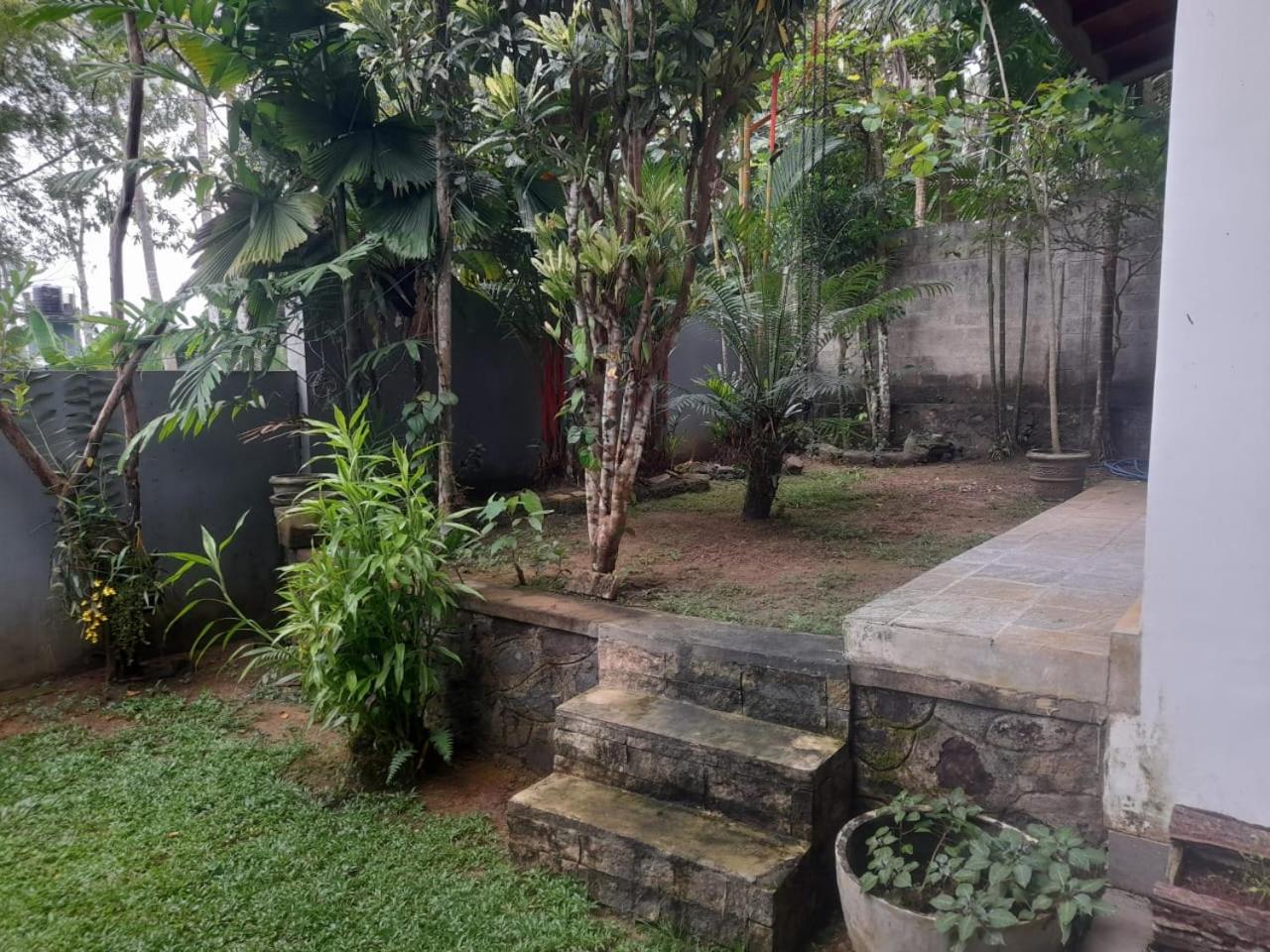 Photo 37