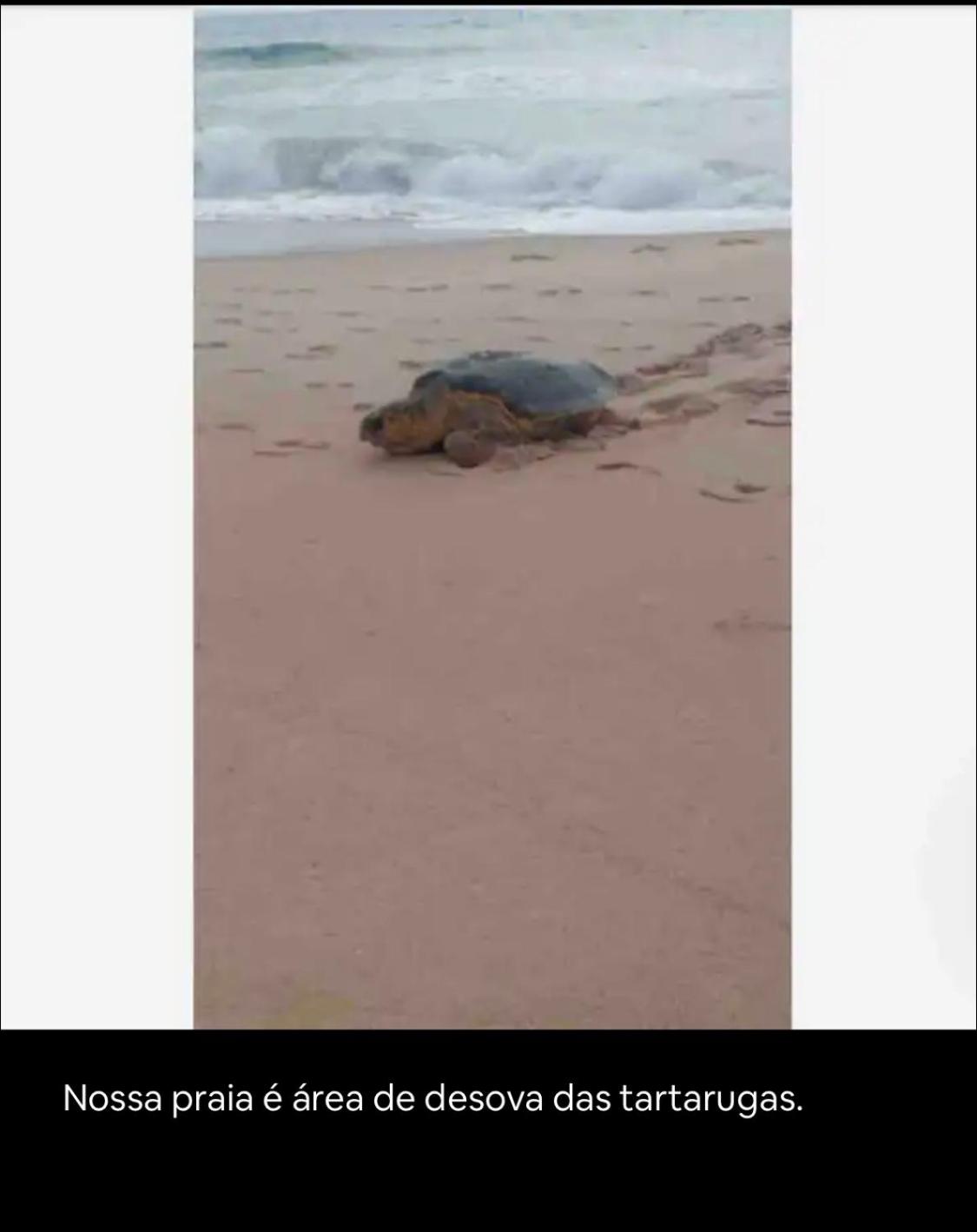 Casa de praia Barra de Jacuipe