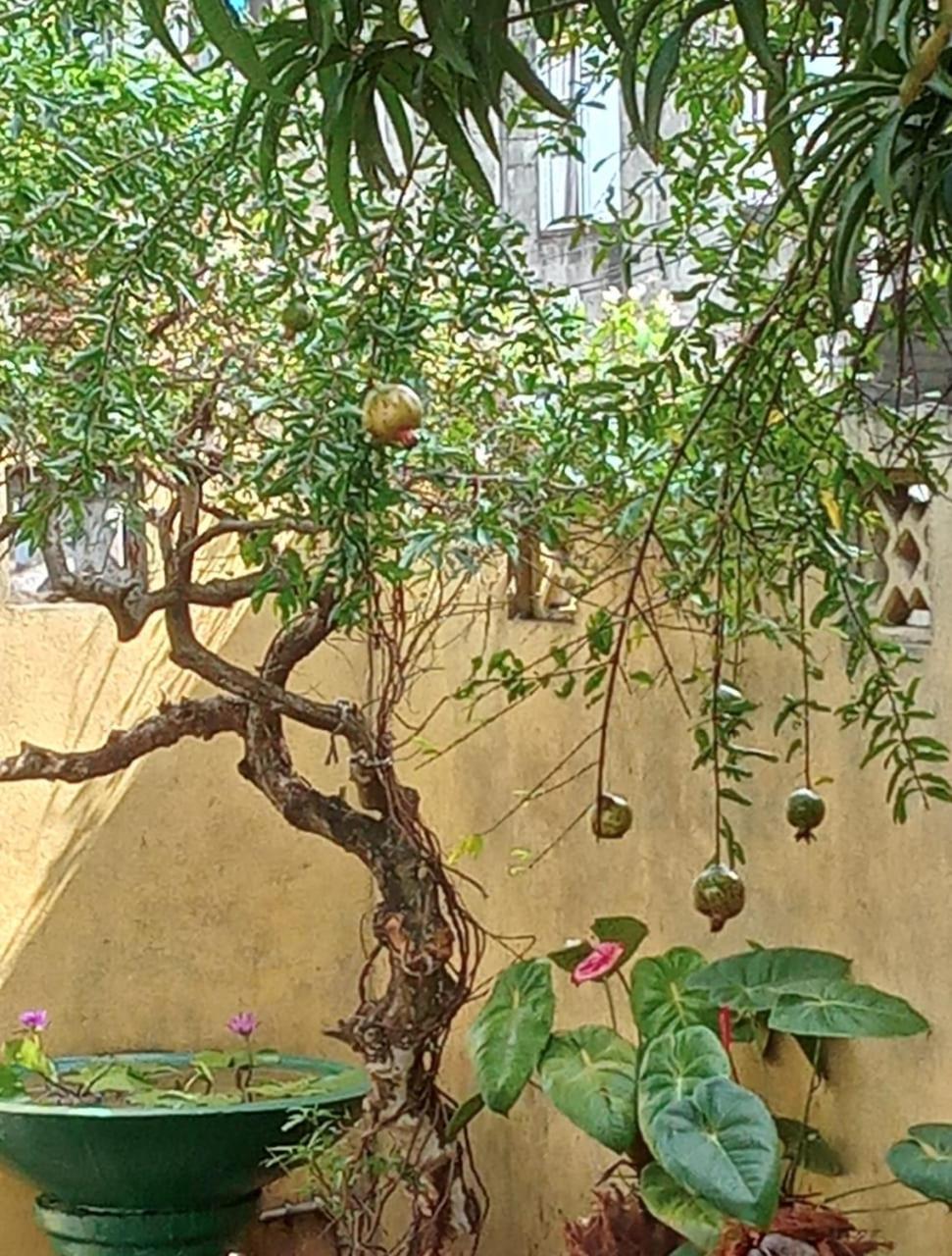 Nirwana Resort
