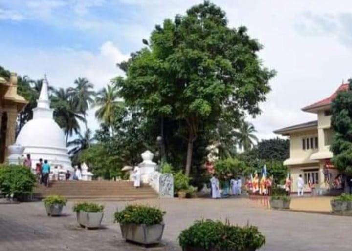 Nirwana Resort