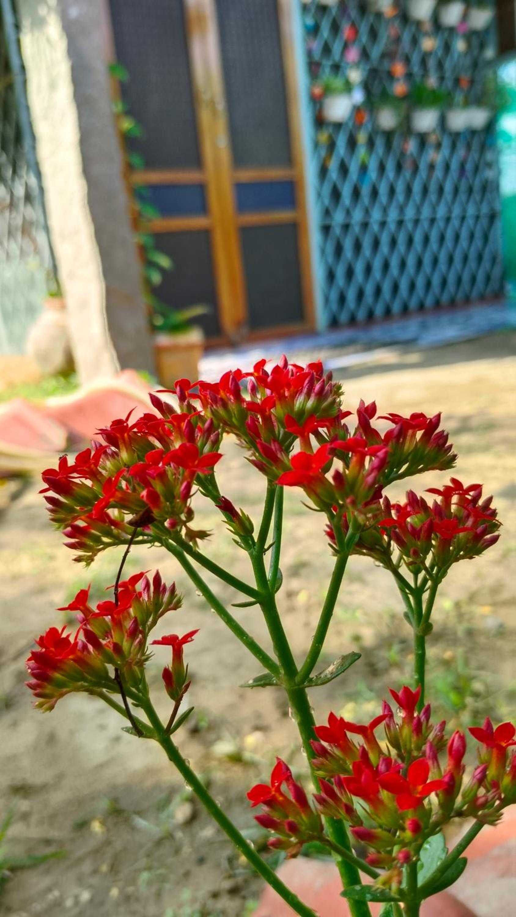 Open house