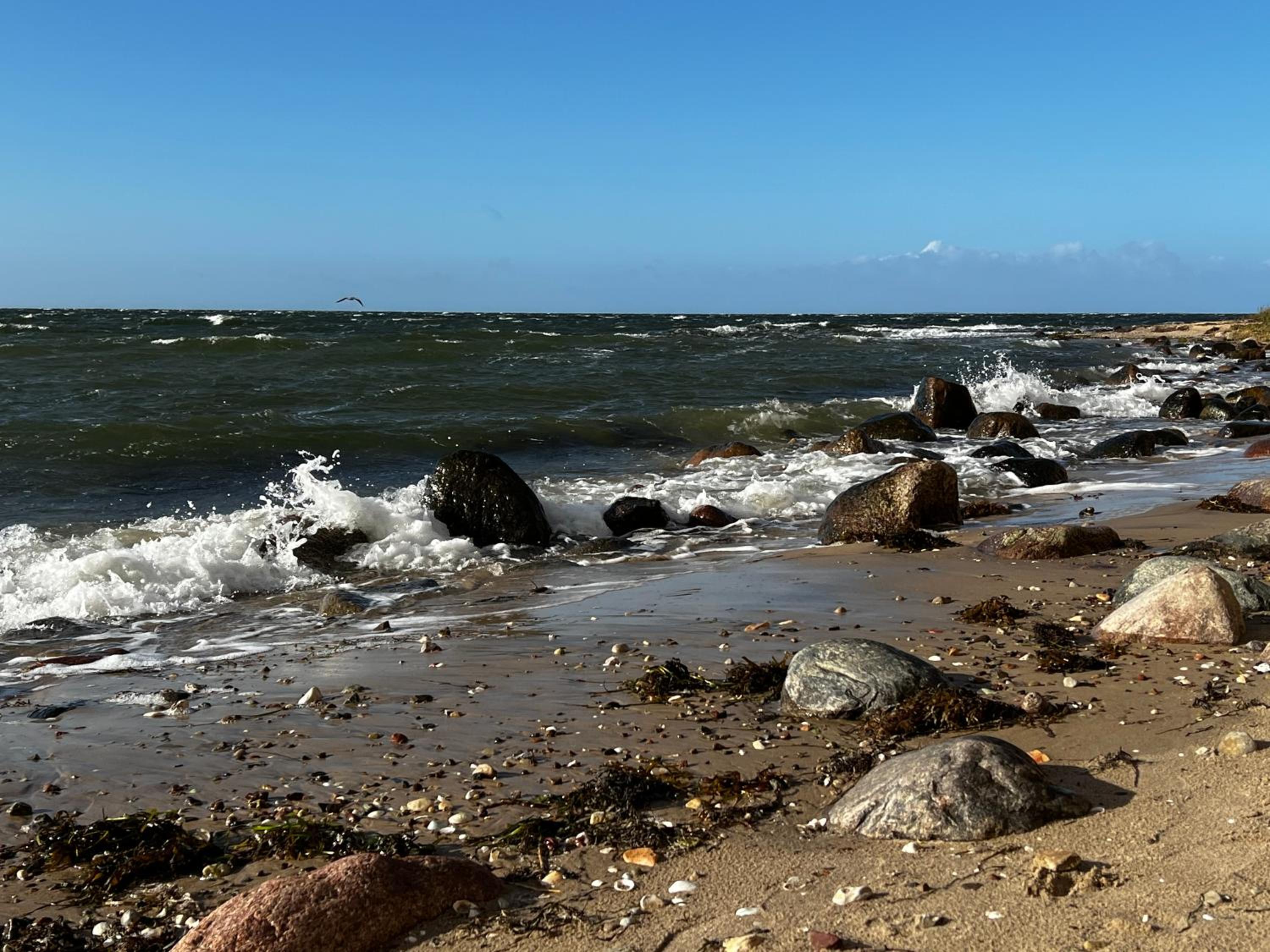 Ferienwohnung Strandflair