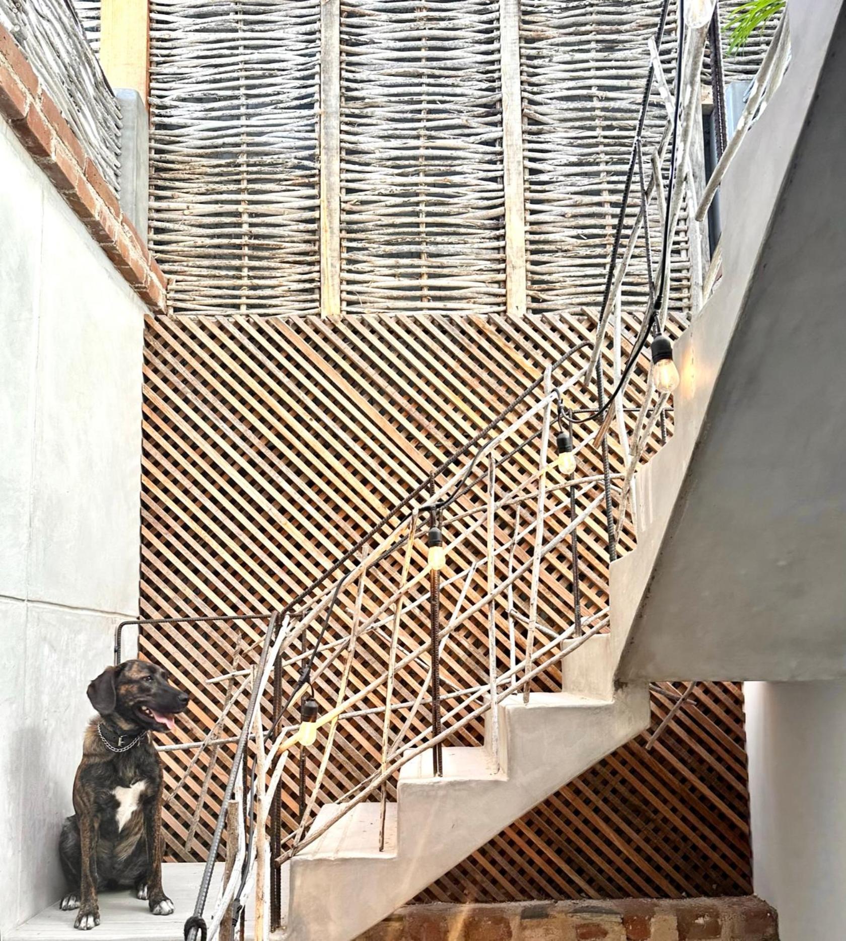 Baja House, photo 44