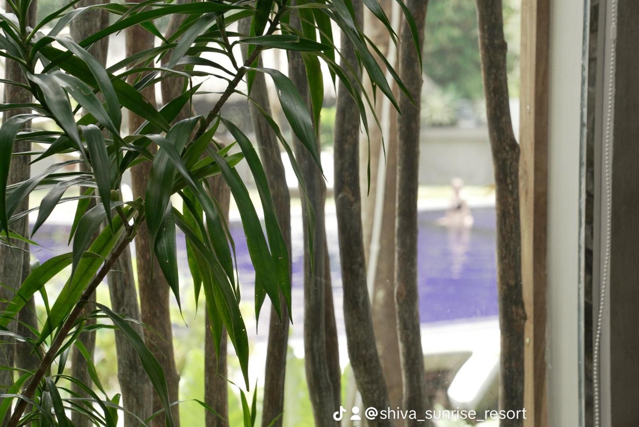 Shiva Sunrise Resort