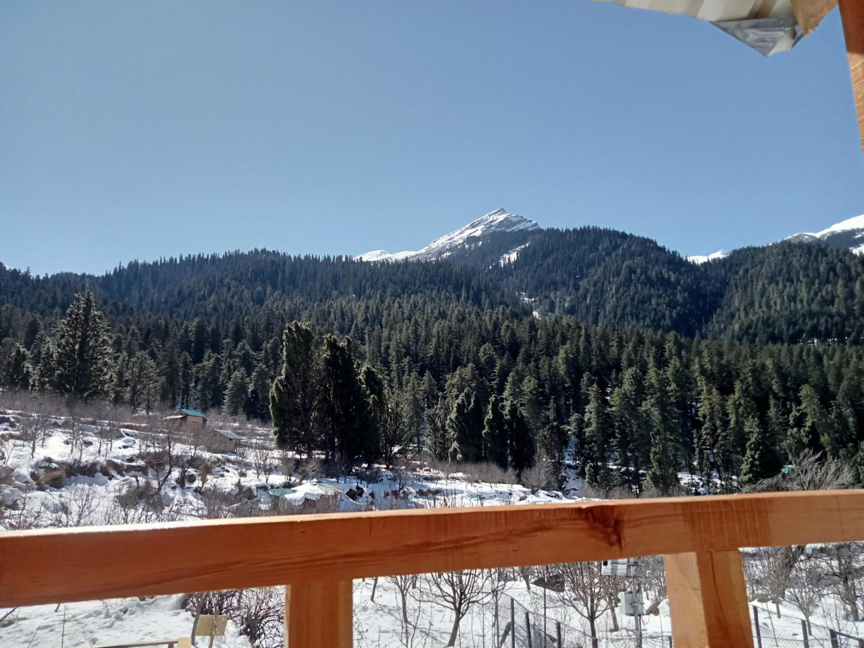 Woodstock Villa Rooms&Entirevilla Tulga