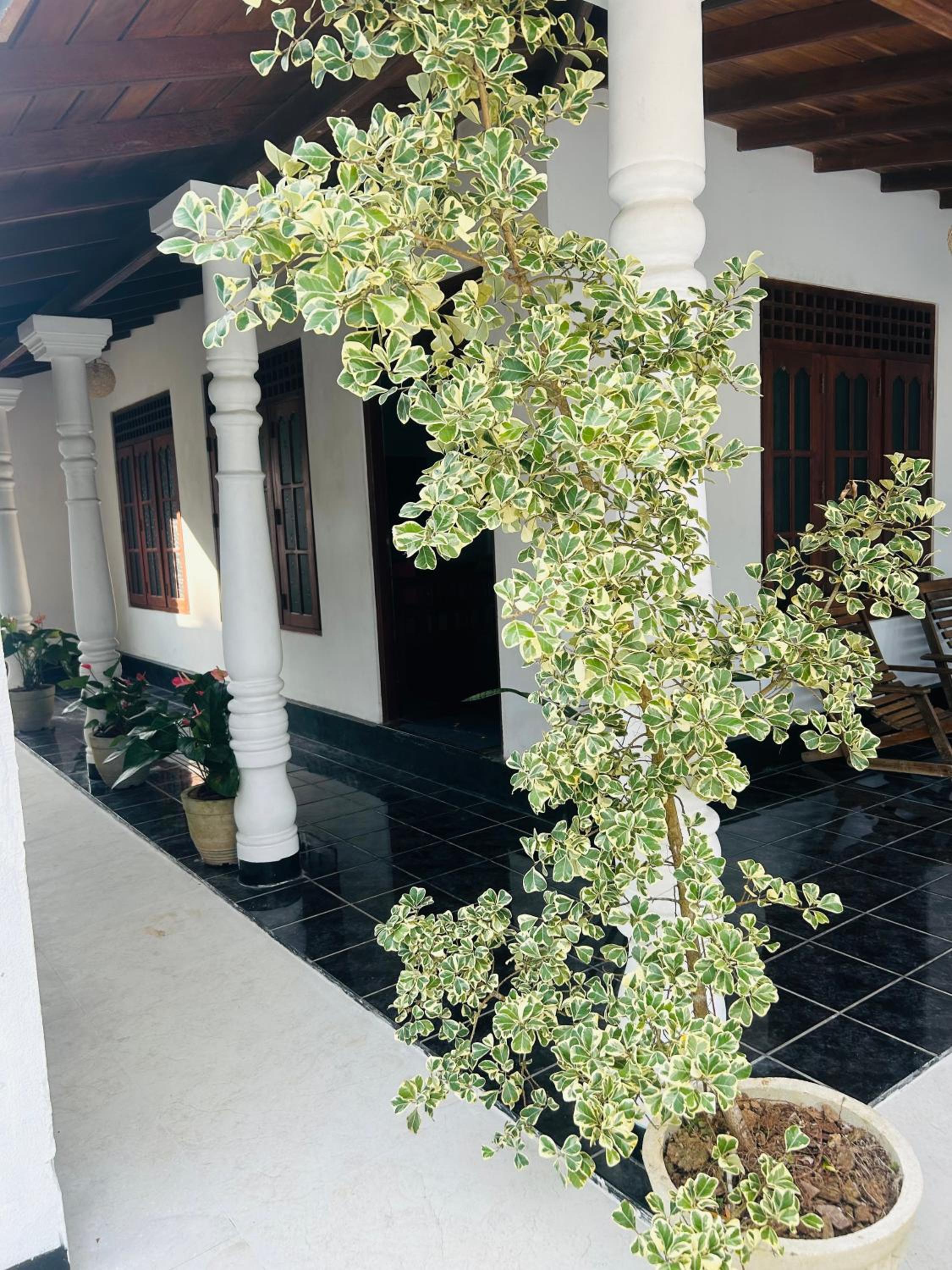 Como Resort