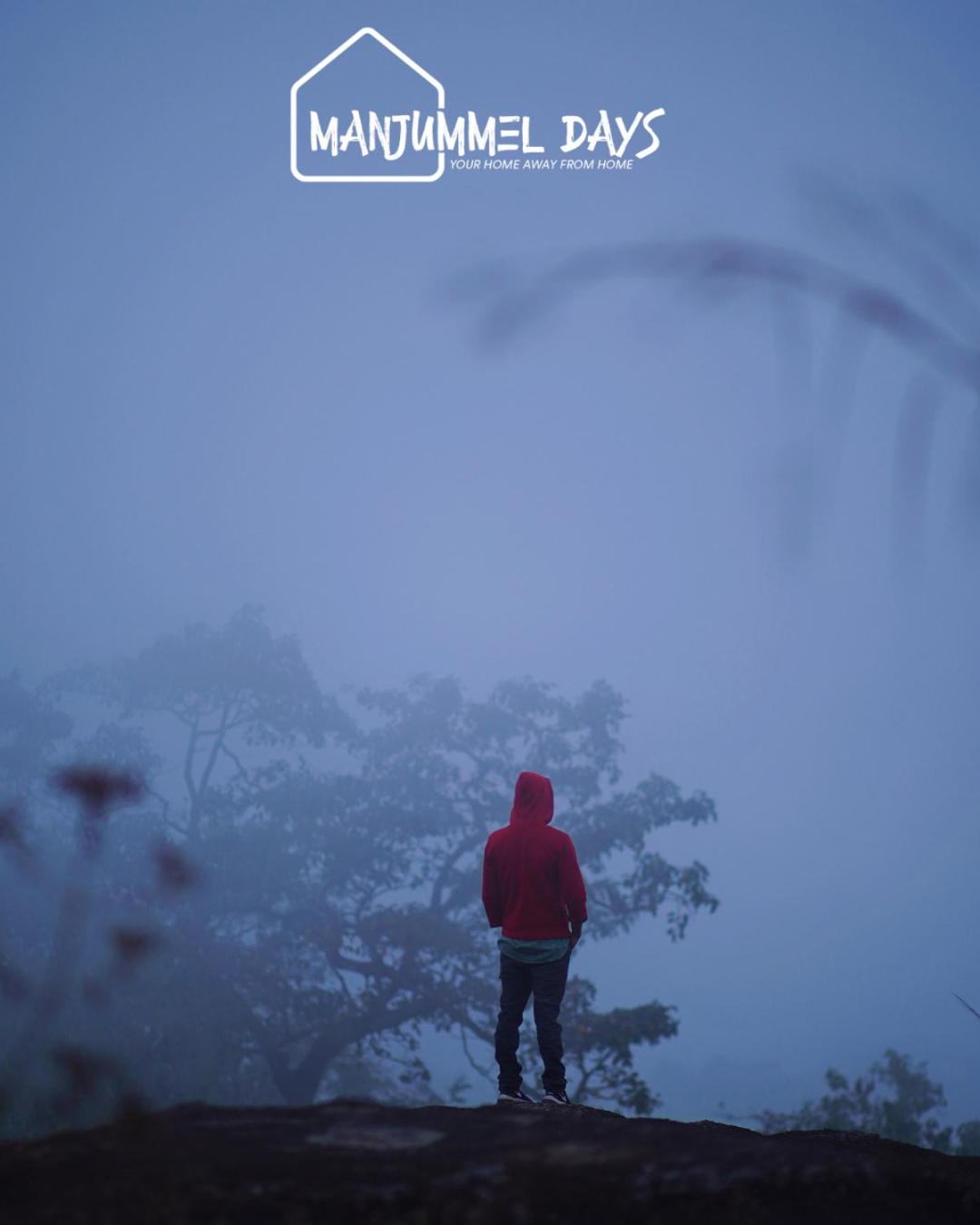 Manjummel days