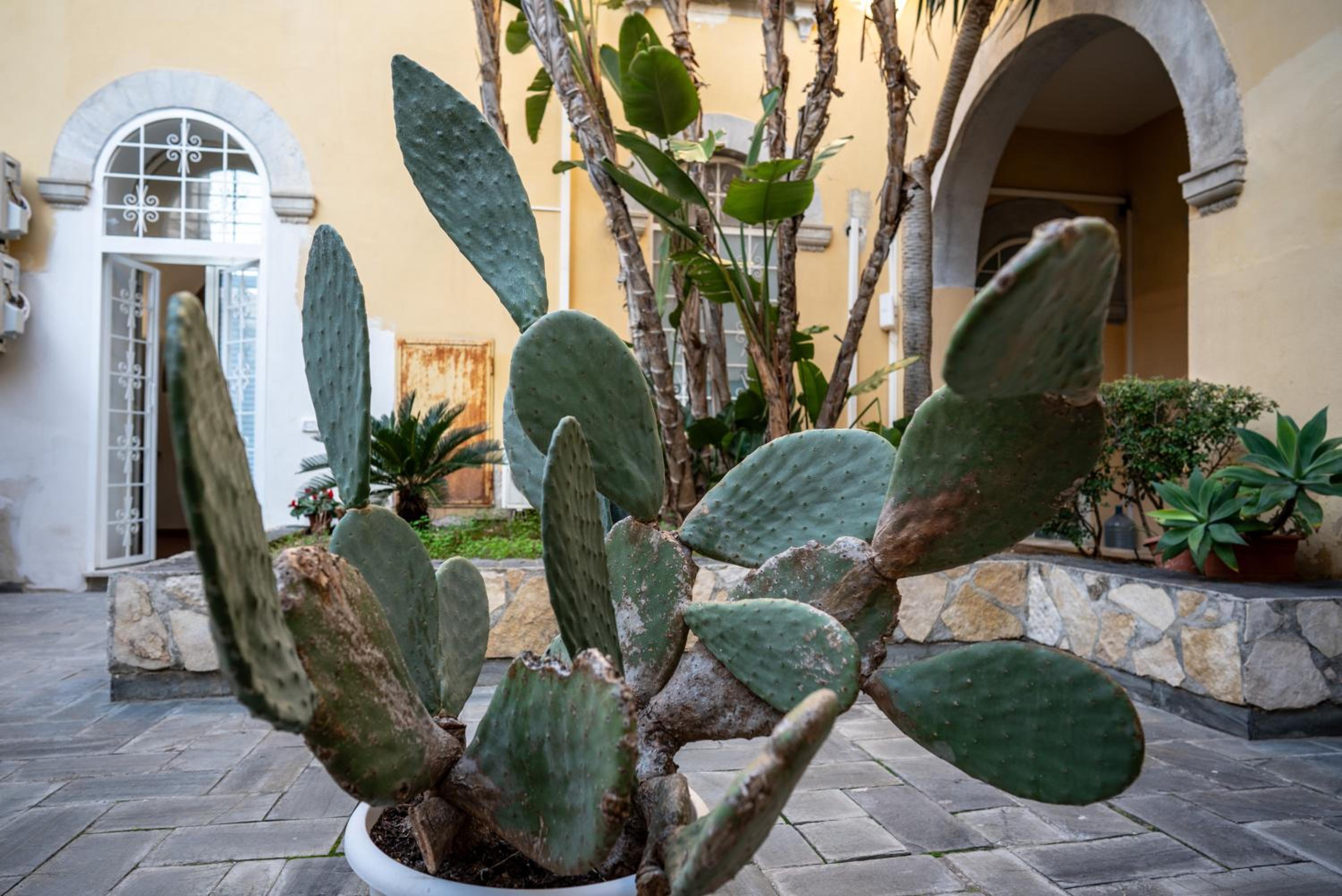 Casa ORCHIDEA D'ORO