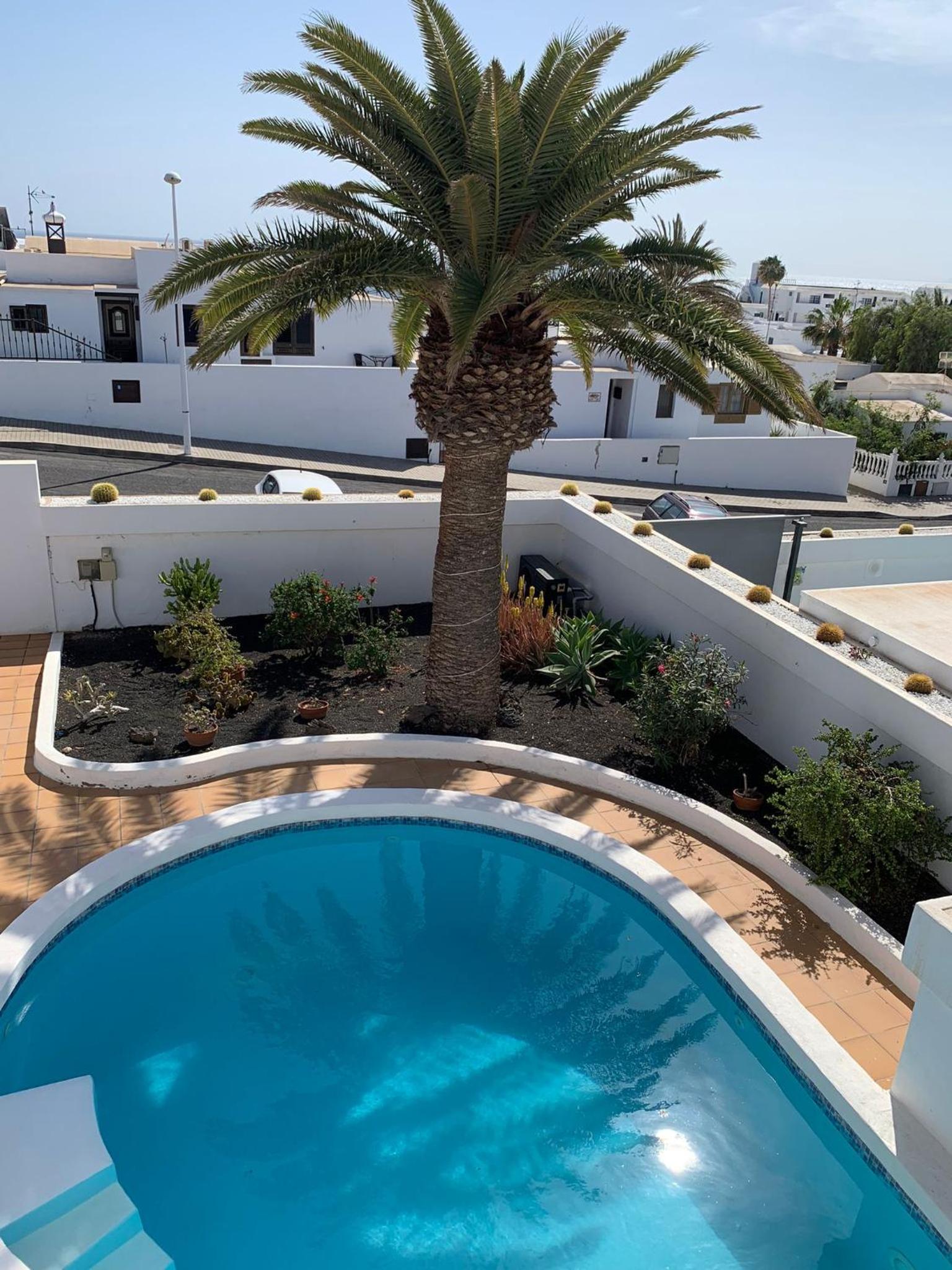 Palm villa