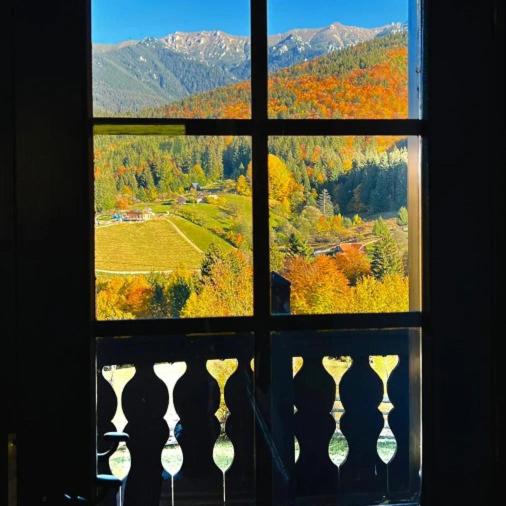 Casuta Bunicii, Bran view 2