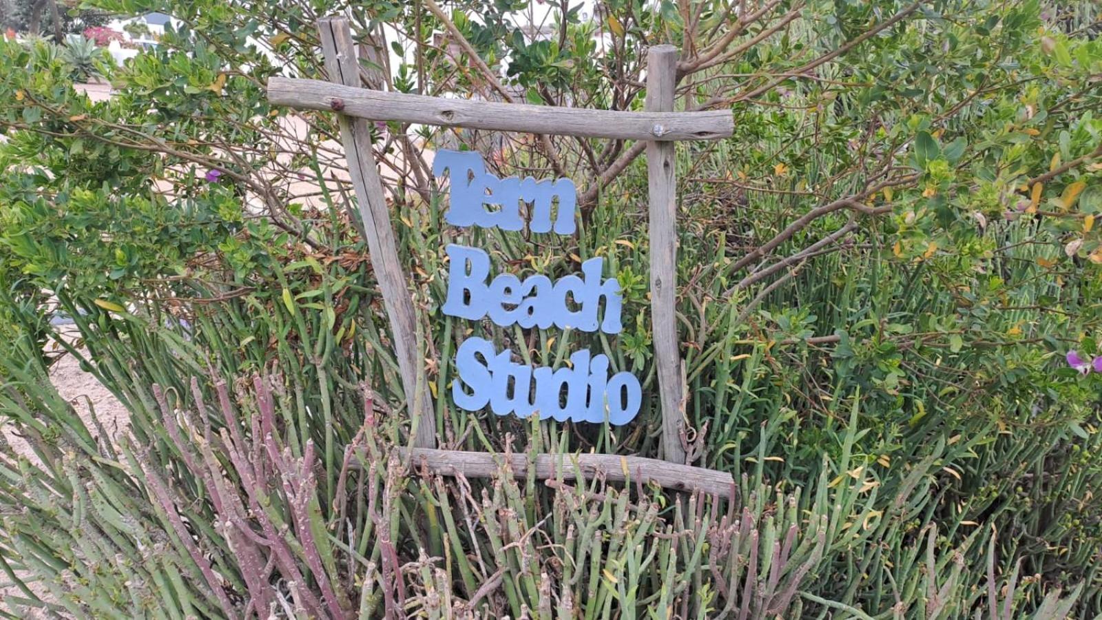 Tern Beach Studio