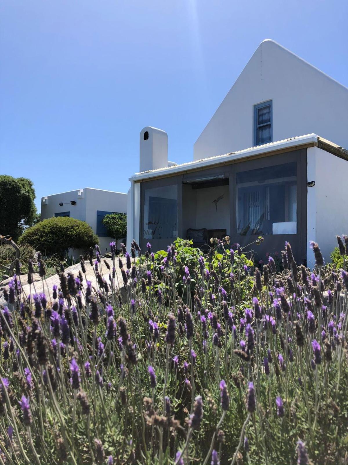 Tern Beach Studio