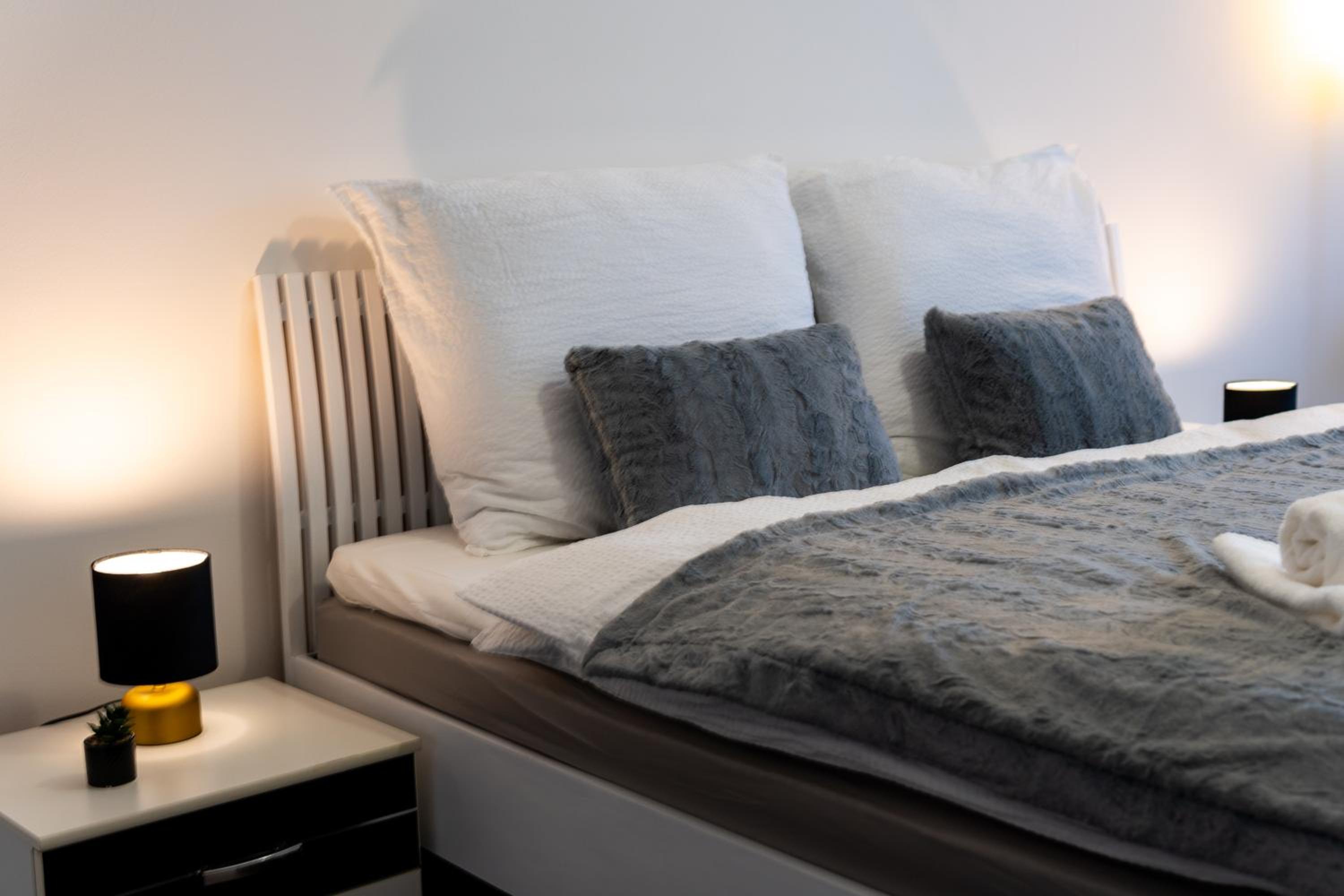 BNB New Beautiful Apartment in the Center of Ostrava with option Garage Parking