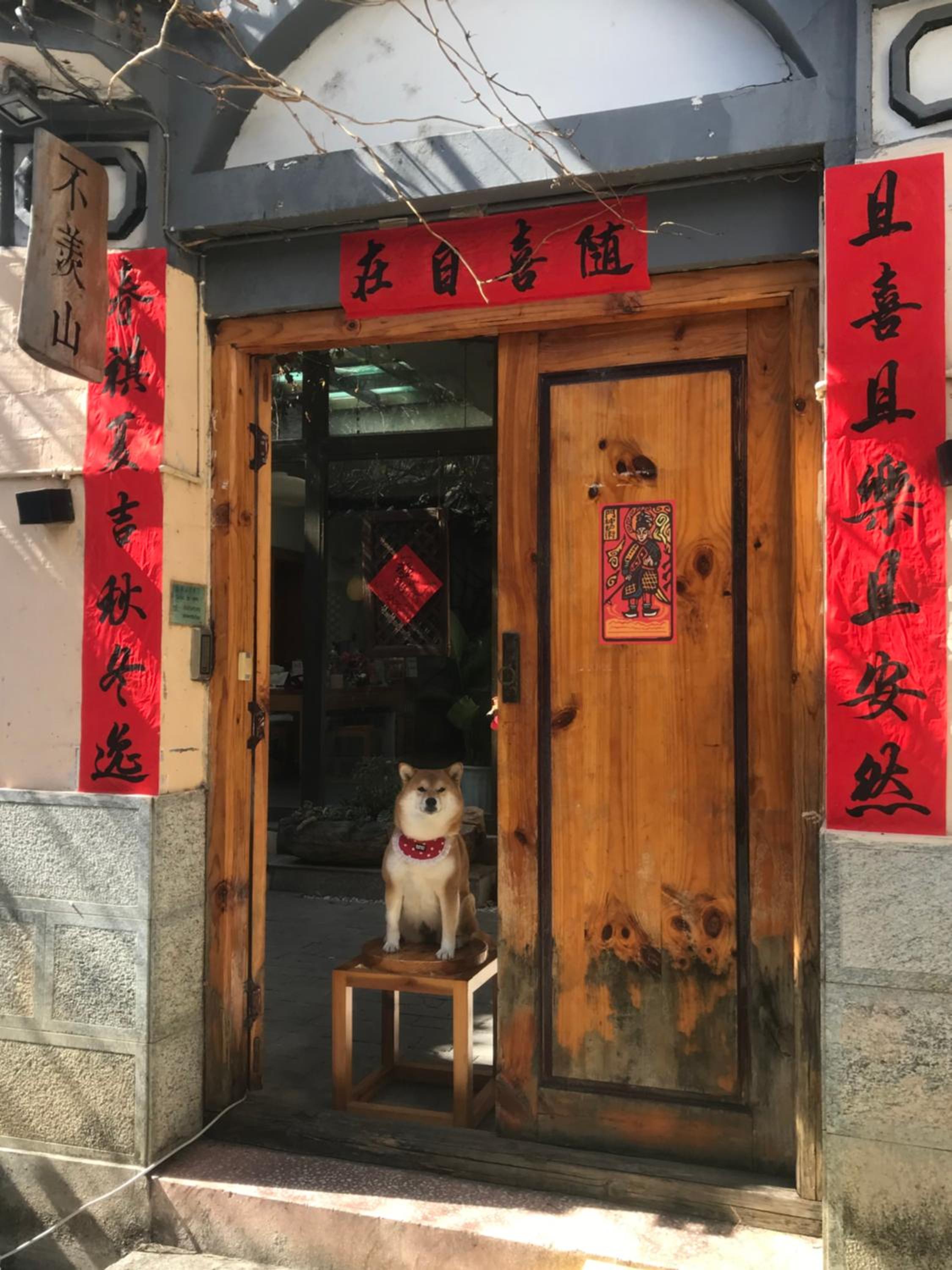 Dali Buxianshan Guesthouse-in Dali ancient city, free coffee, english speaking employee