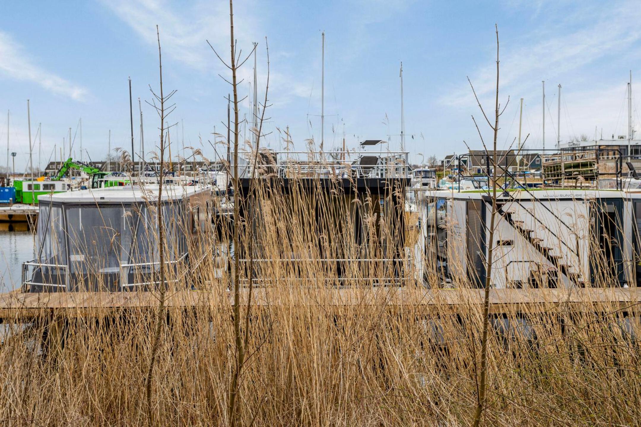 Photo 43