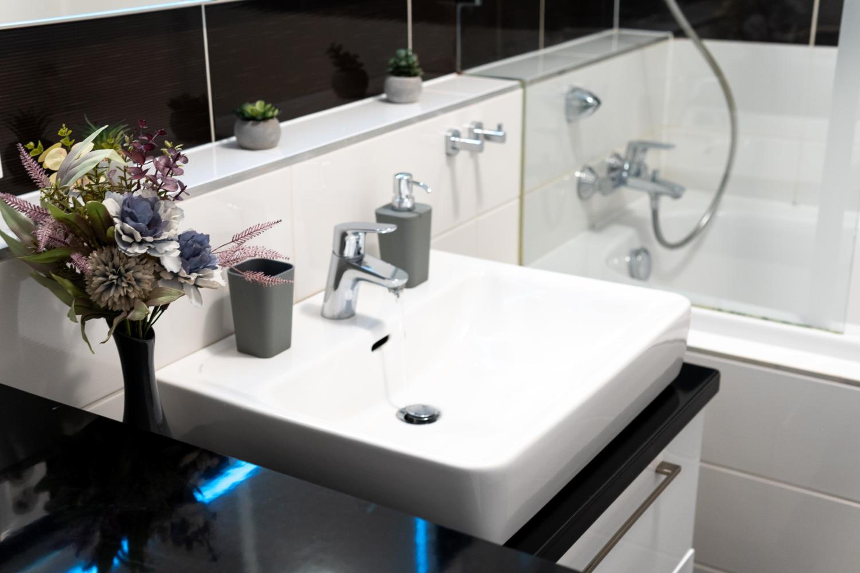 BNB New Beautiful Apartment in the Center of Ostrava with option Garage Parking