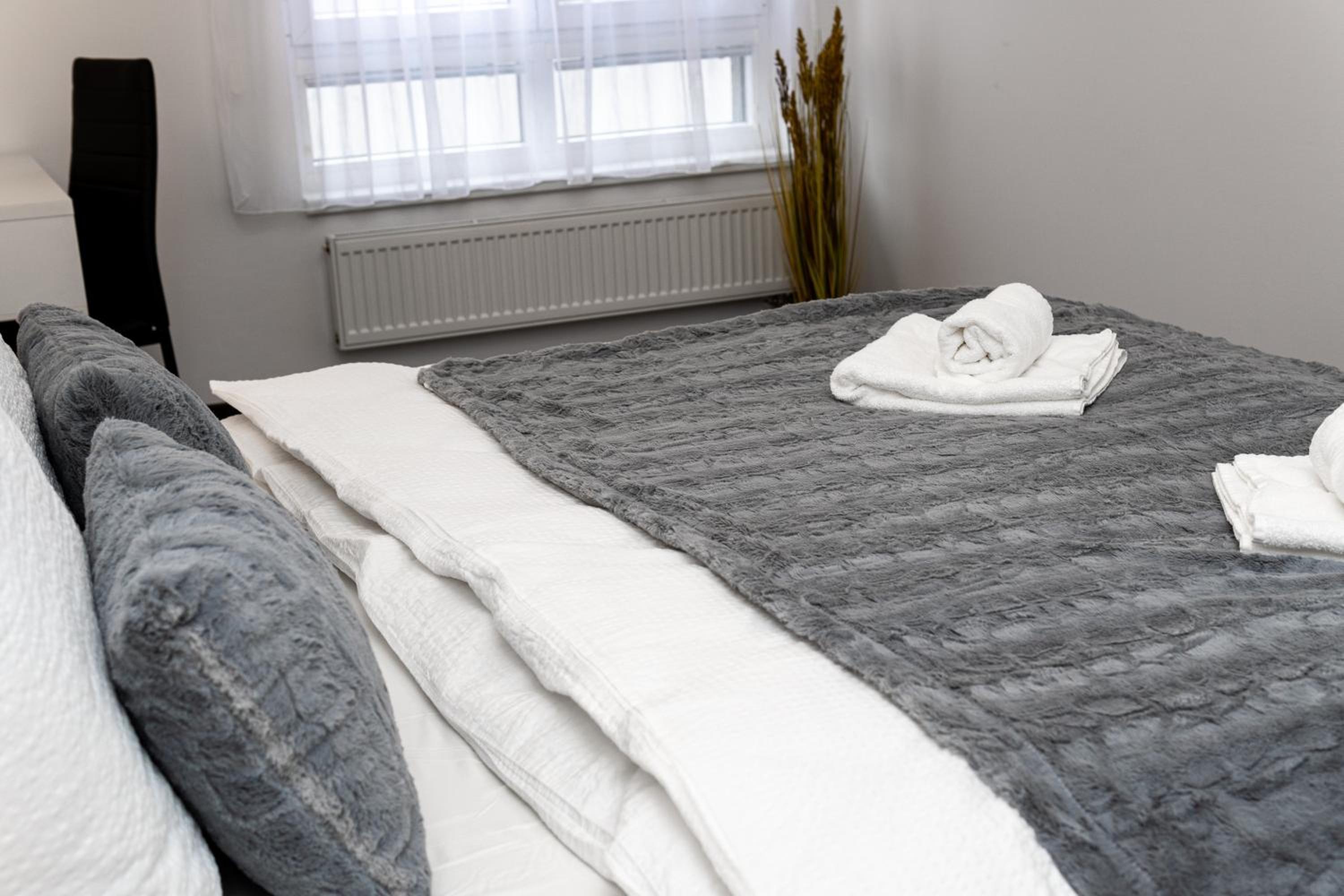 BNB New Beautiful Apartment in the Center of Ostrava with option Garage Parking