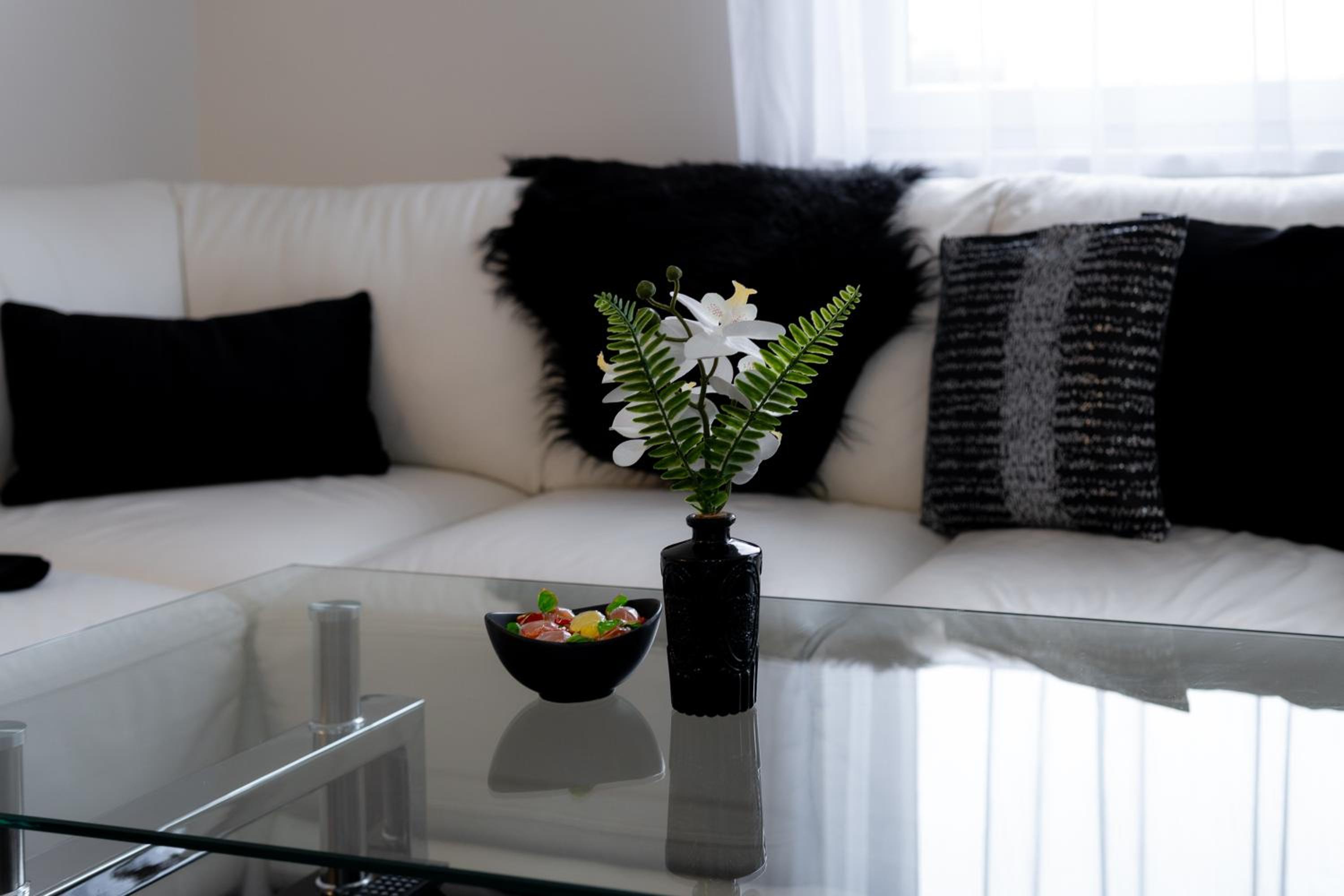 BNB New Beautiful Apartment in the Center of Ostrava with option Garage Parking