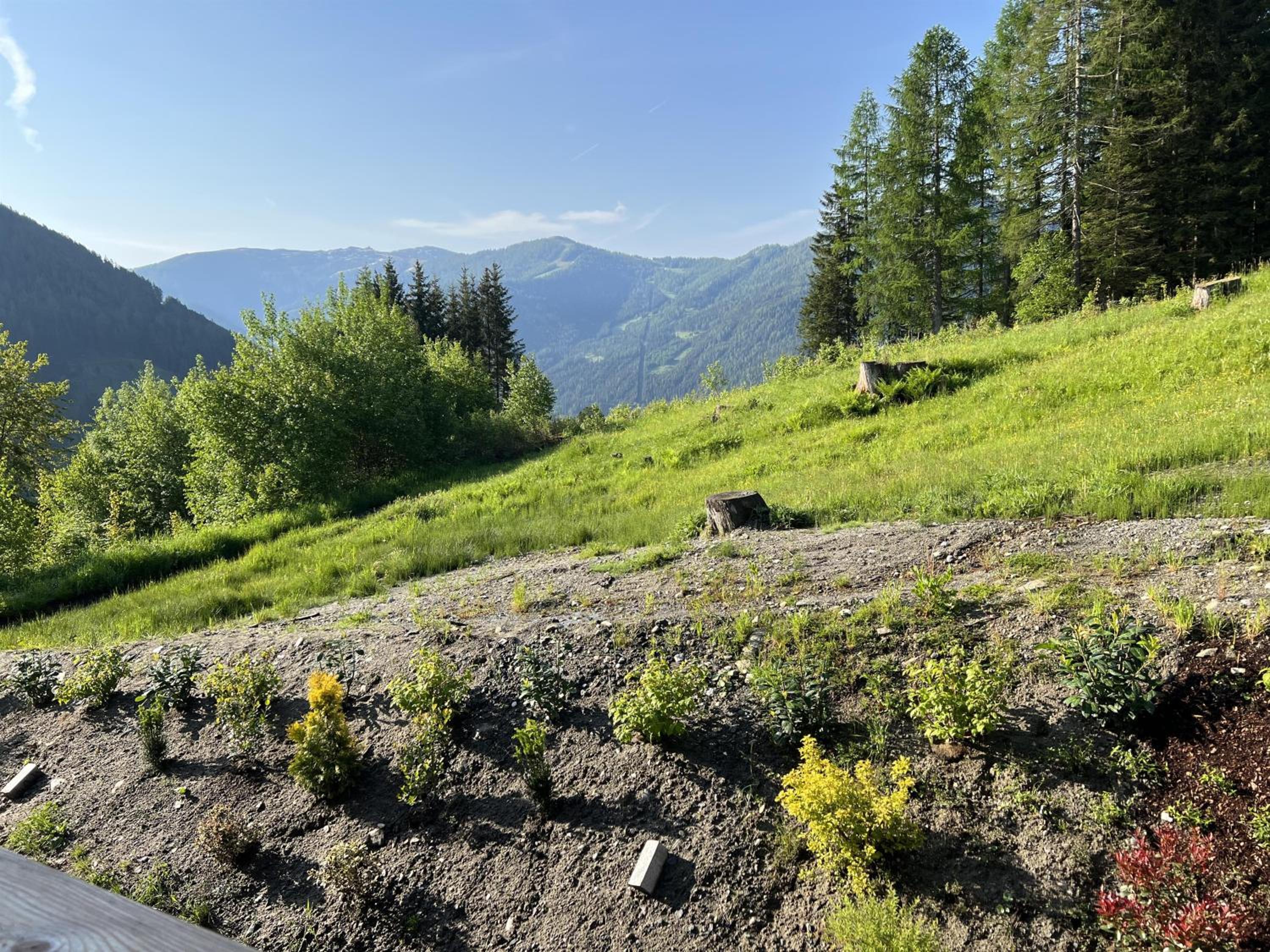 Chalet Tannalm